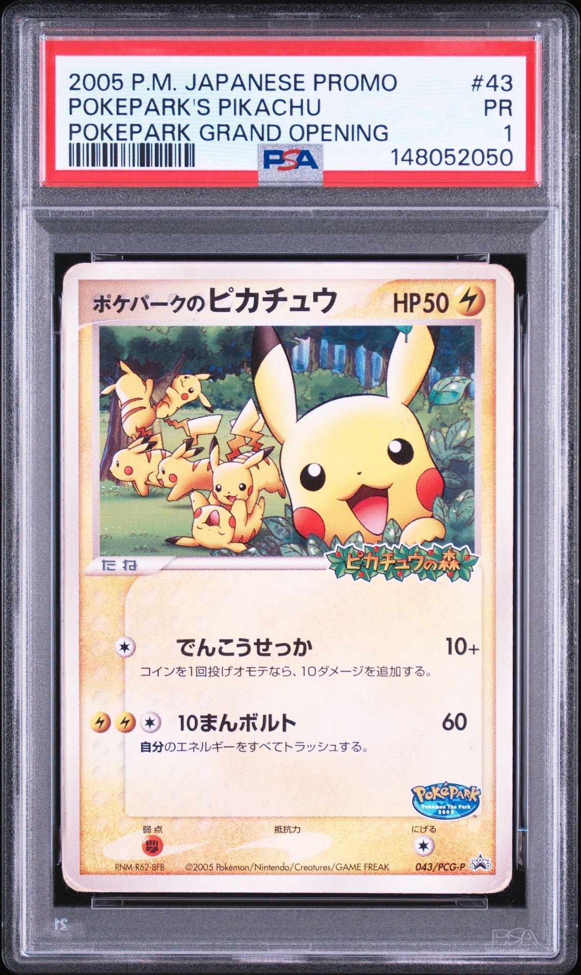 ポケパークのピカチュウ P [PCG-P 043](プロモーションカード