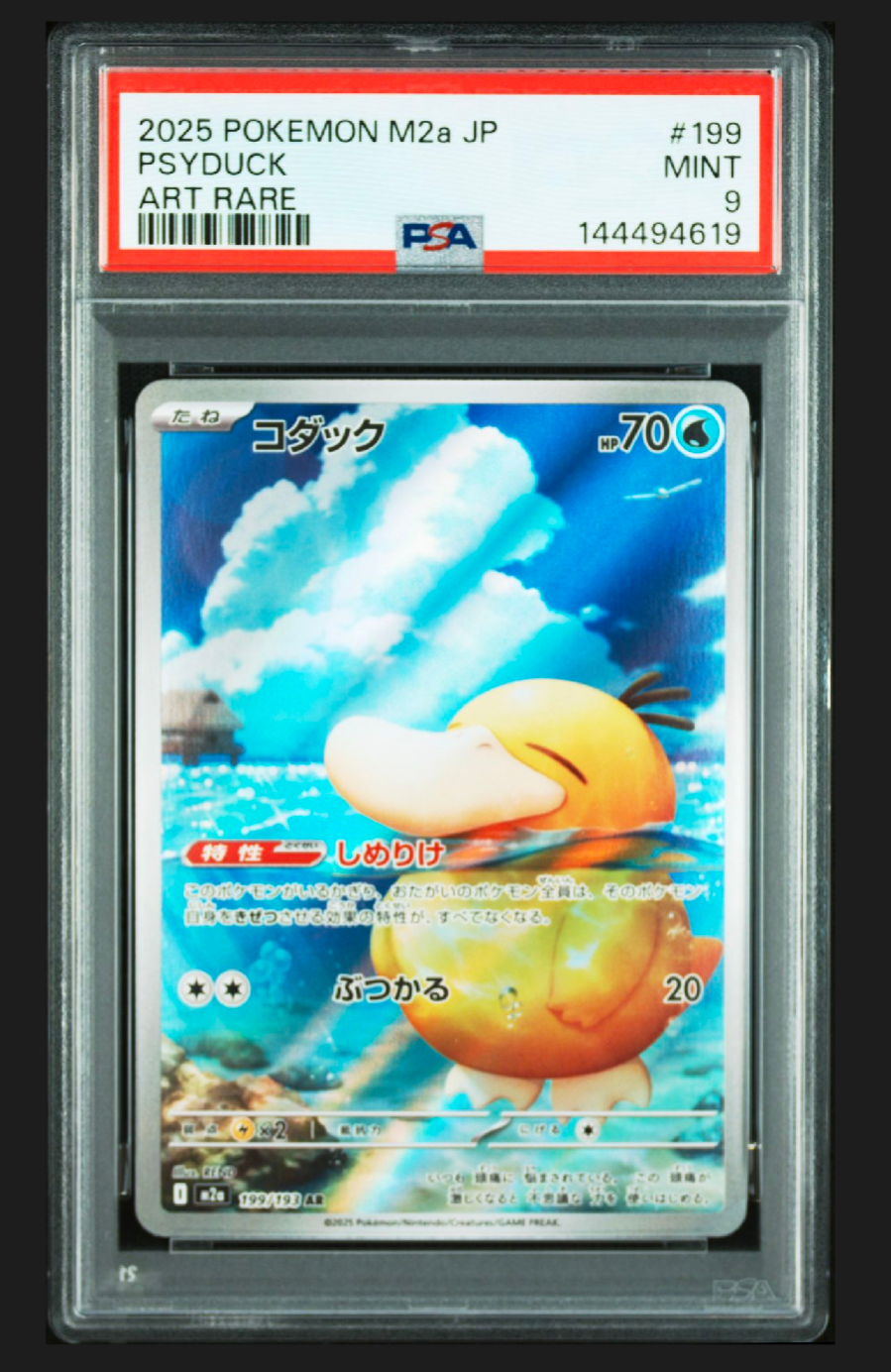コダック AR [M2a 199/193](ハイクラスパック「MEGAドリームex」)