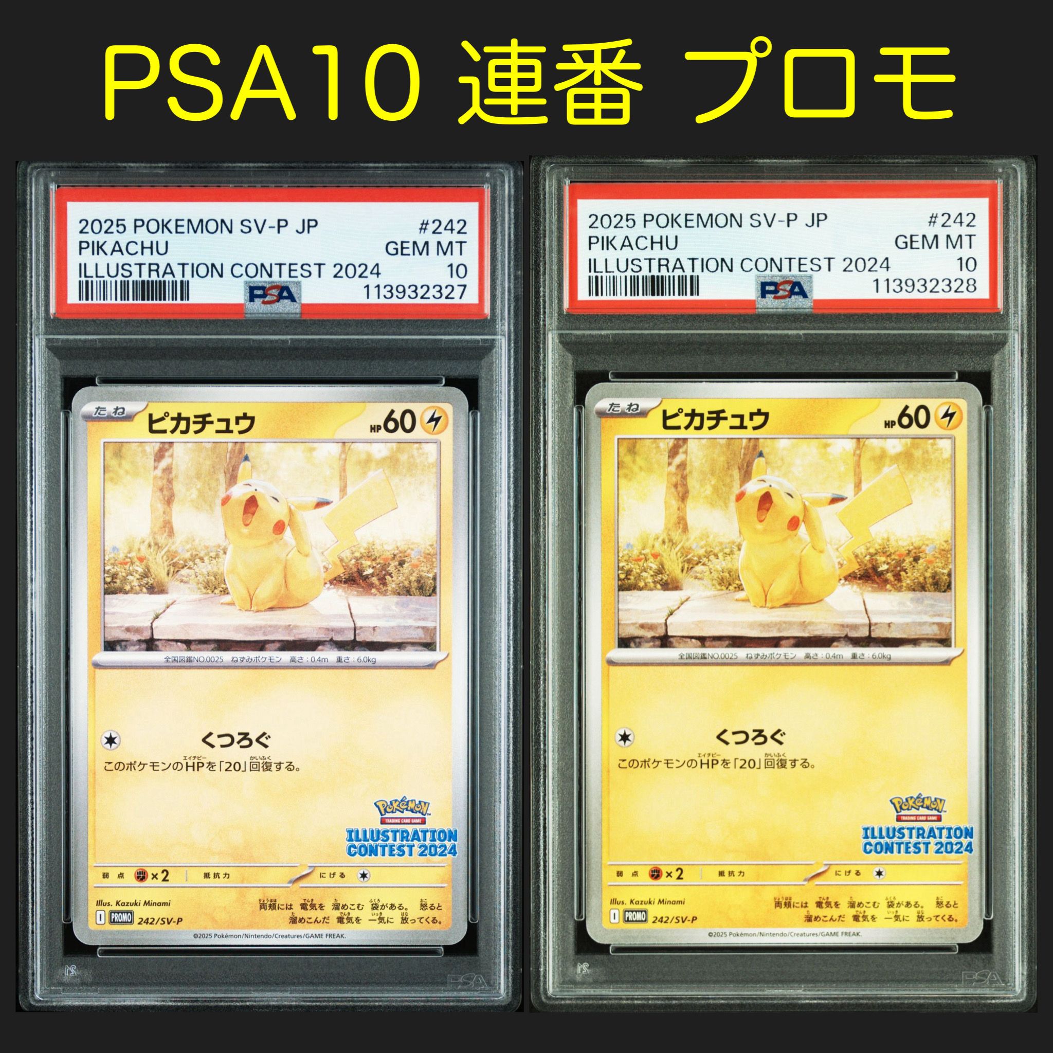 ピカチュウ [SV-P 242](プロモカードパック「イラストレーションコンテスト 2024 受賞作品プロモカード化記念キャンペーン」)
