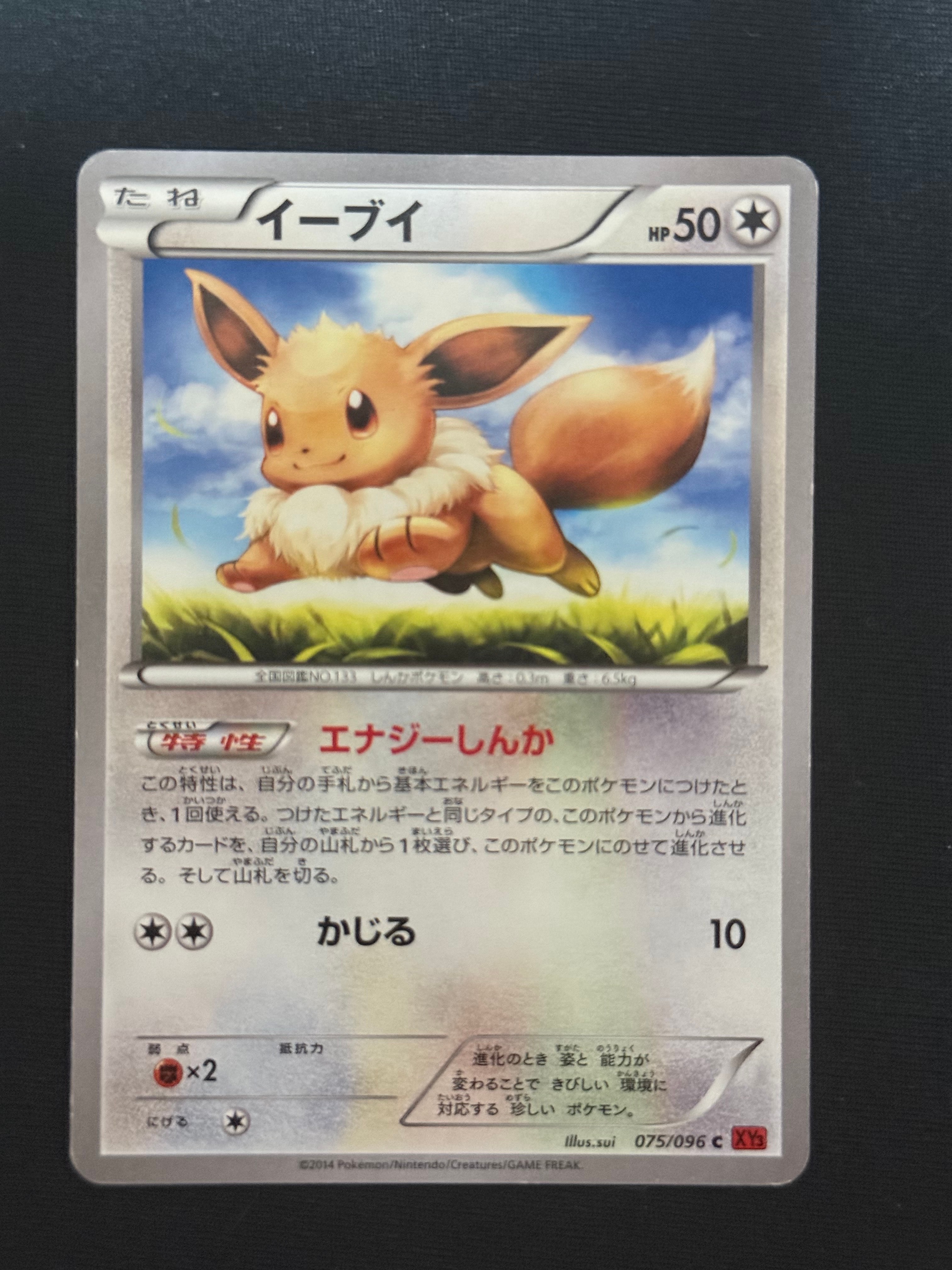 イーブイ C [XY3 075/096](拡張パック「ライジングフィスト」)の新品