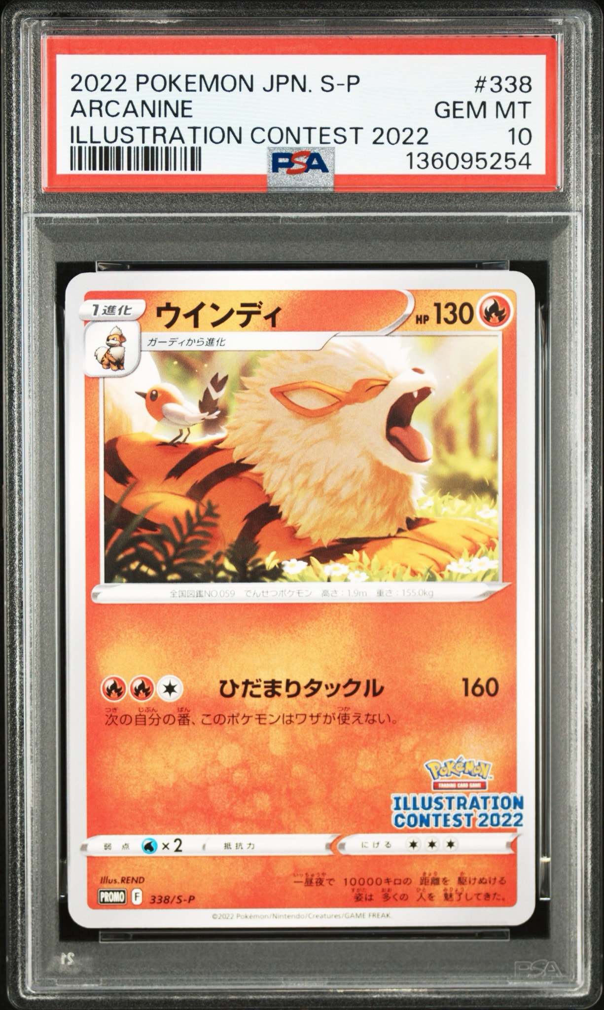 Arcanine PROMO[PROMO338/S-P](Promotional Cards "Pokemon Centers / Pokemon Stores / Pokemon Center Online Bonus for purchases over 2000 yen")