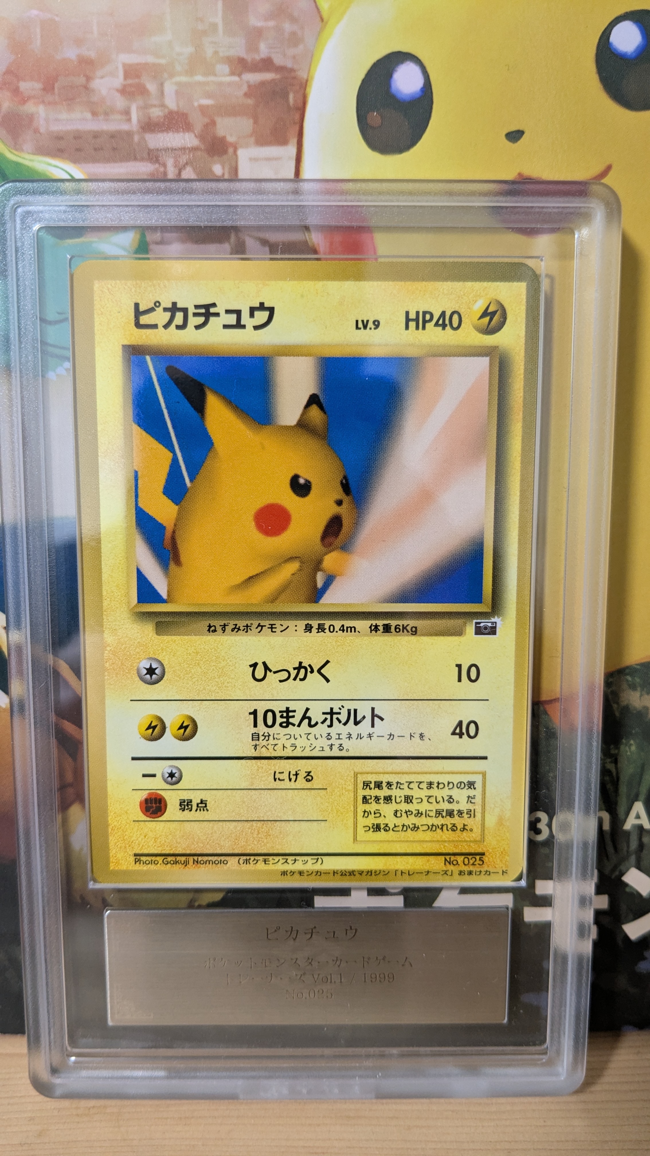 ピカチュウ P : 旧裏 [PMCG-P No.025](プロモーションカード「ポケモンカードトレーナーズVol.1」)