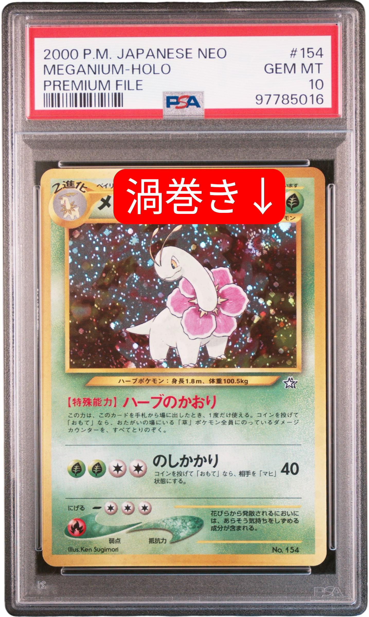 メガニウム : 旧裏 [PRMF-1 No.154](ポケモンカード★neo「プレミアムファイル」)