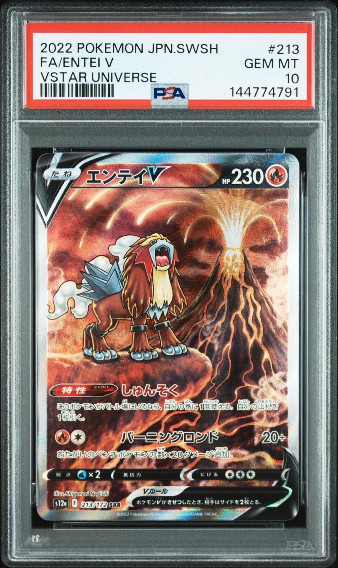 エンテイV SAR[s12a 213/172](ハイクラスパック「VSTARユニバース」)