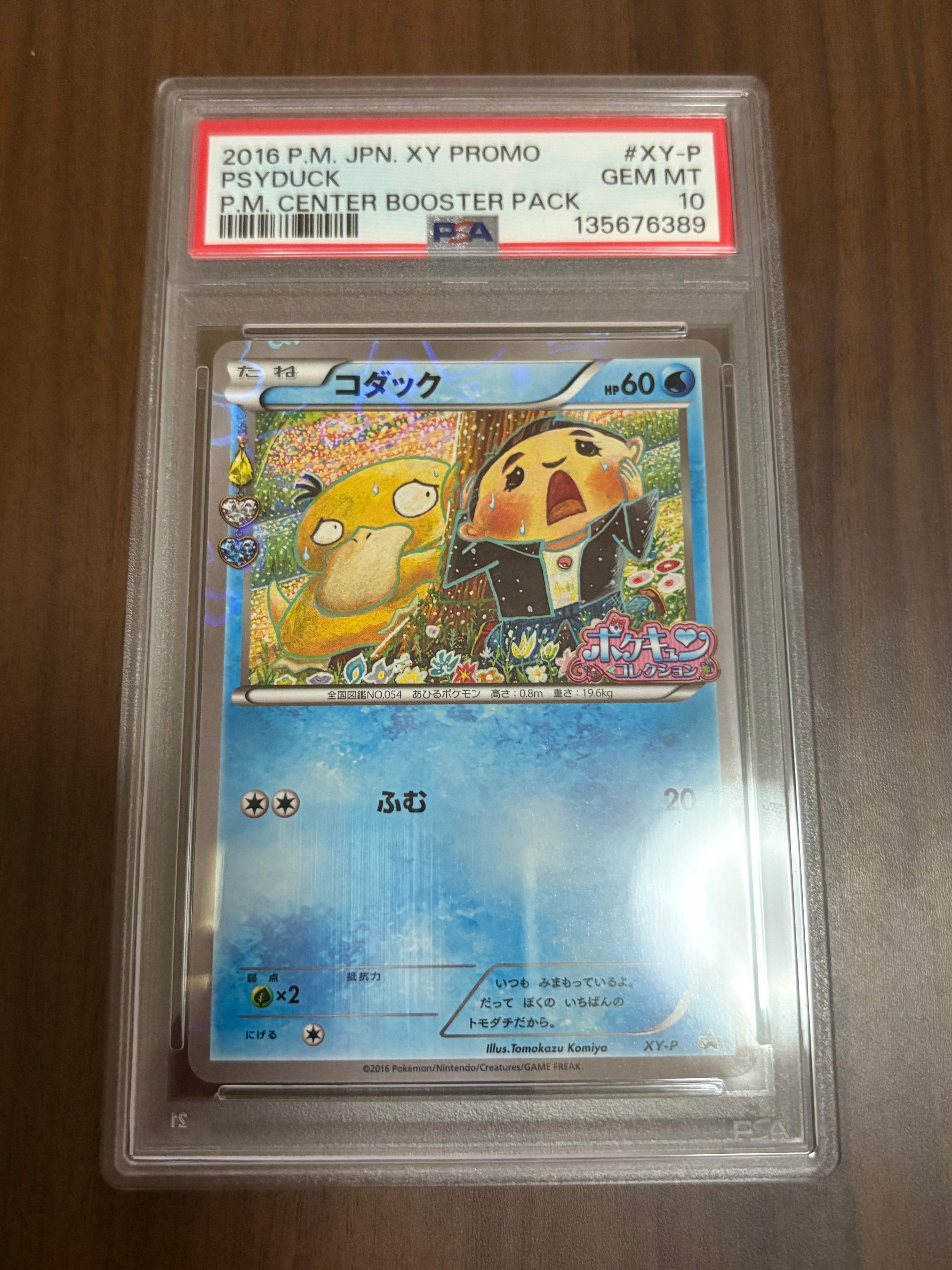 PSA10】コダック: プロモ[XY-P](プロモーションカード「XY-P」) 1枚の