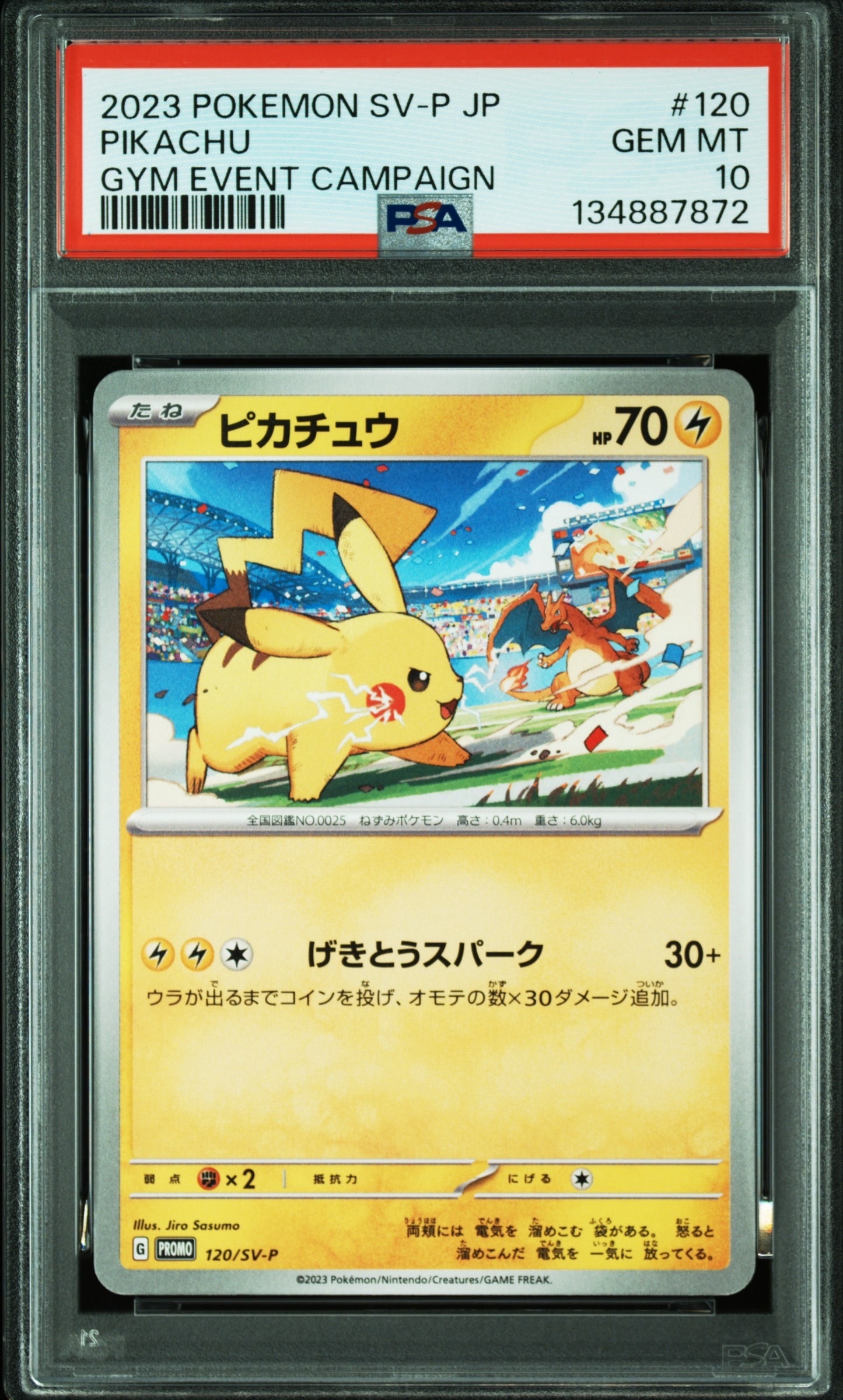 ライチ PROMO SM-P 053/SM-P　マグネットローダー付き ライチ :プロモ[SM-P 053](プロモーションカード「SM-P」)の新品/中古
