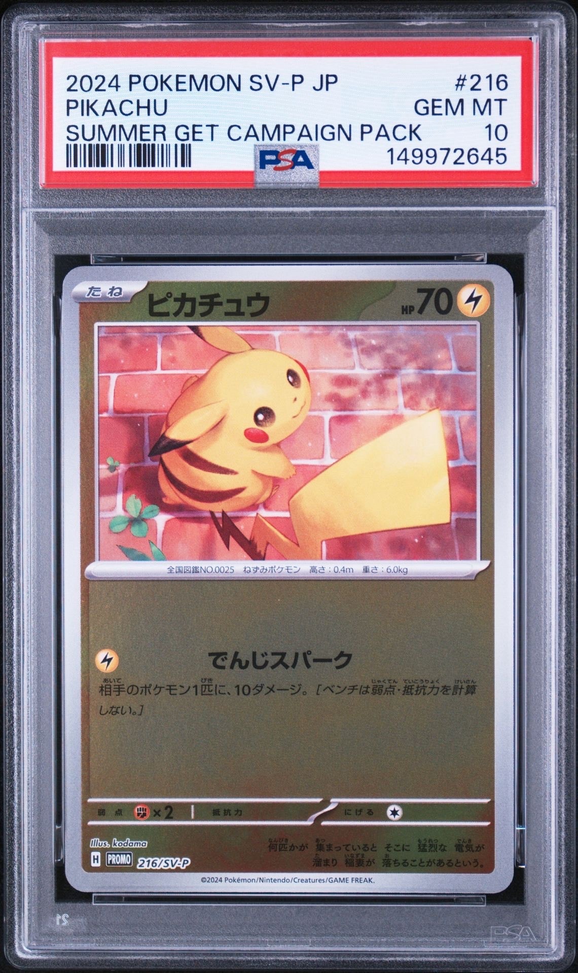 ピカチュウ P [SV-P 216](プロモカードパック「ポケカの夏がキタ