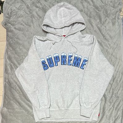 Supreme Icy Arc Hooded Sweatshirt "Ash Grey"