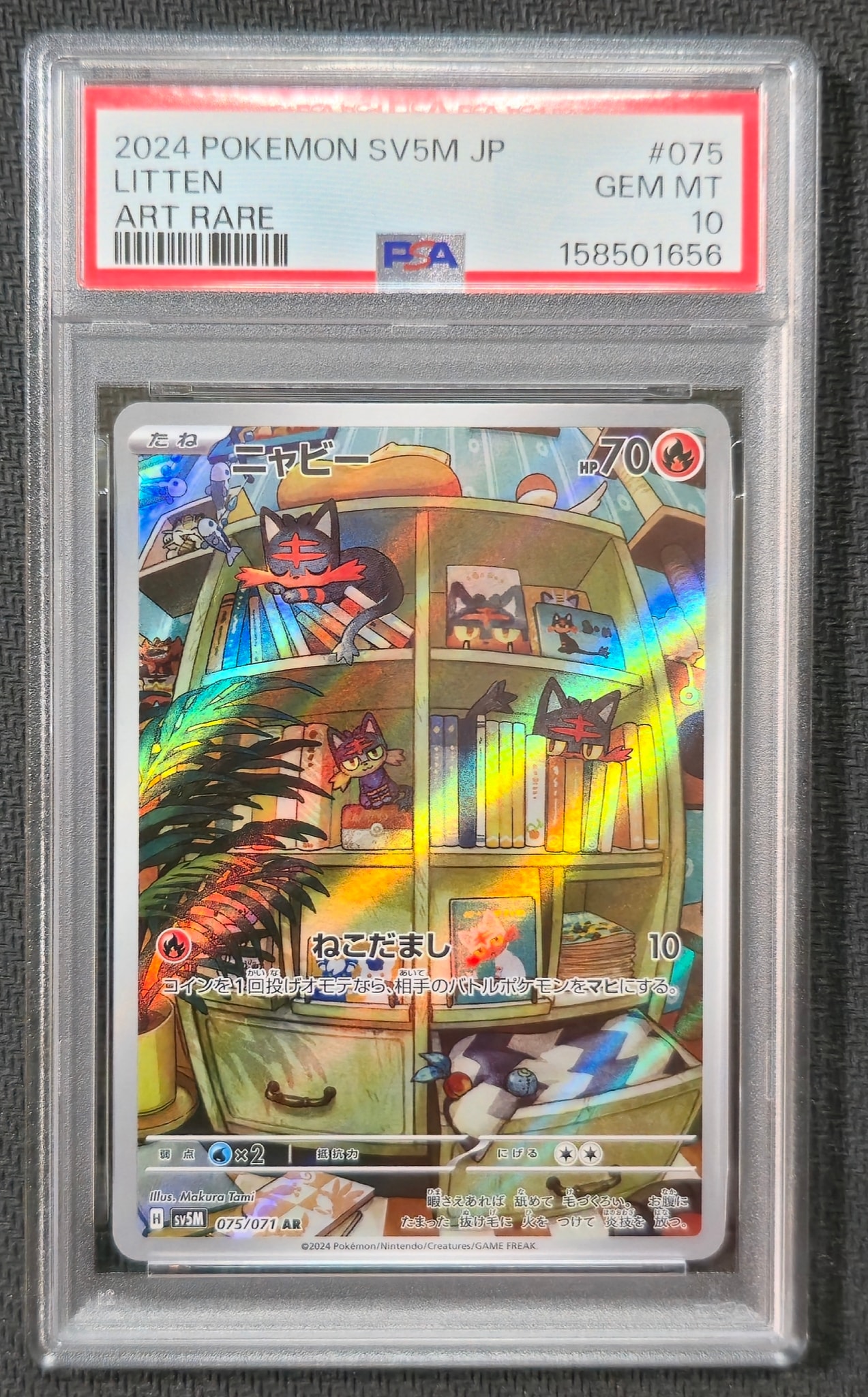 Litten