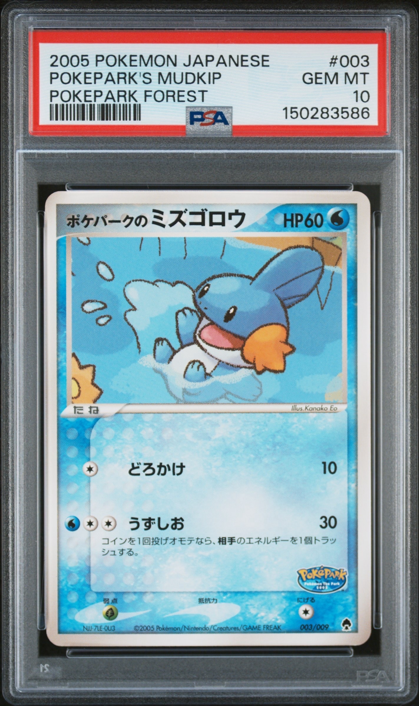 ポケパークのミズゴロウ [PCG 003/009](ポケパークプレミアムファイル