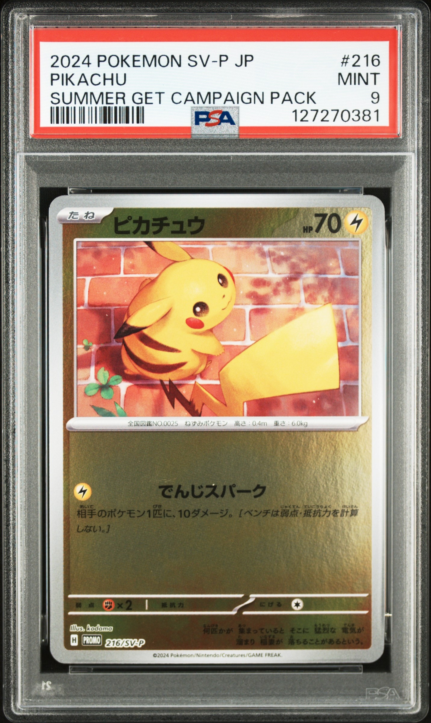 ピカチュウ P [SV-P 216](プロモカードパック「ポケカの夏がキタ!プロモカードGetキャンペーン!」)
