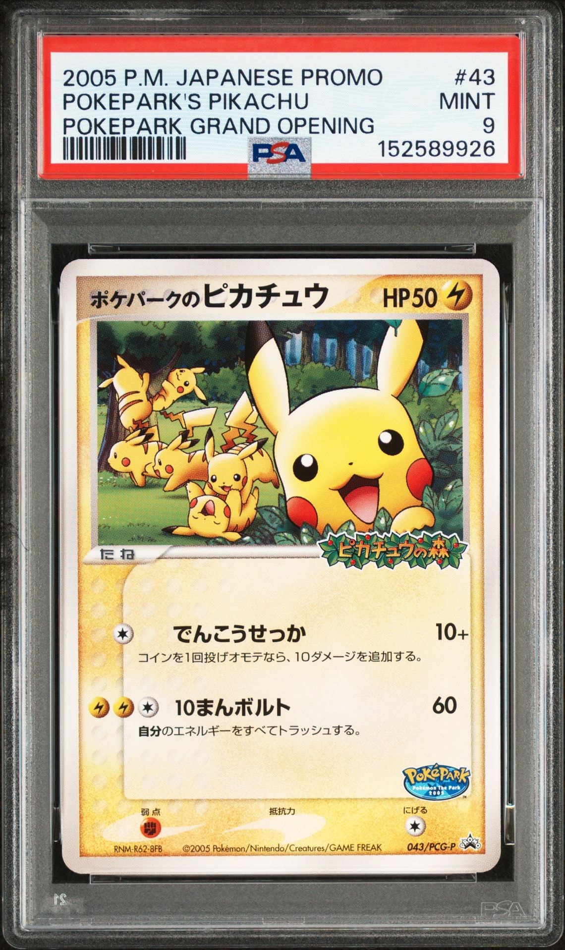ポケパークのピカチュウ P [PCG-P 043](プロモーションカード「ポケパーク ルギアのくるくるシップ」)