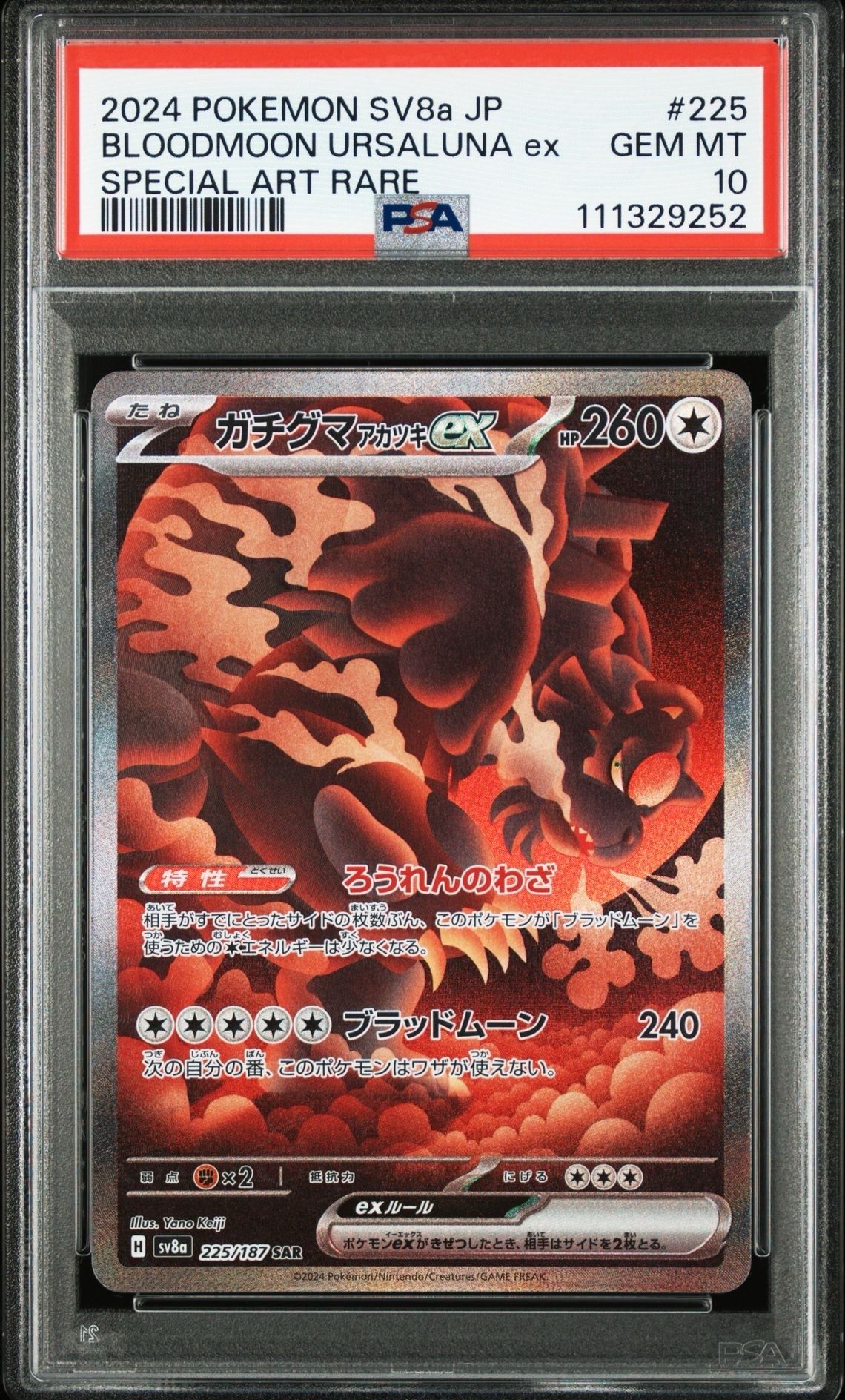ガチグマ アカツキex SAR [SV8a 225/187](ハイクラスパック「テラスタルフェスex」)