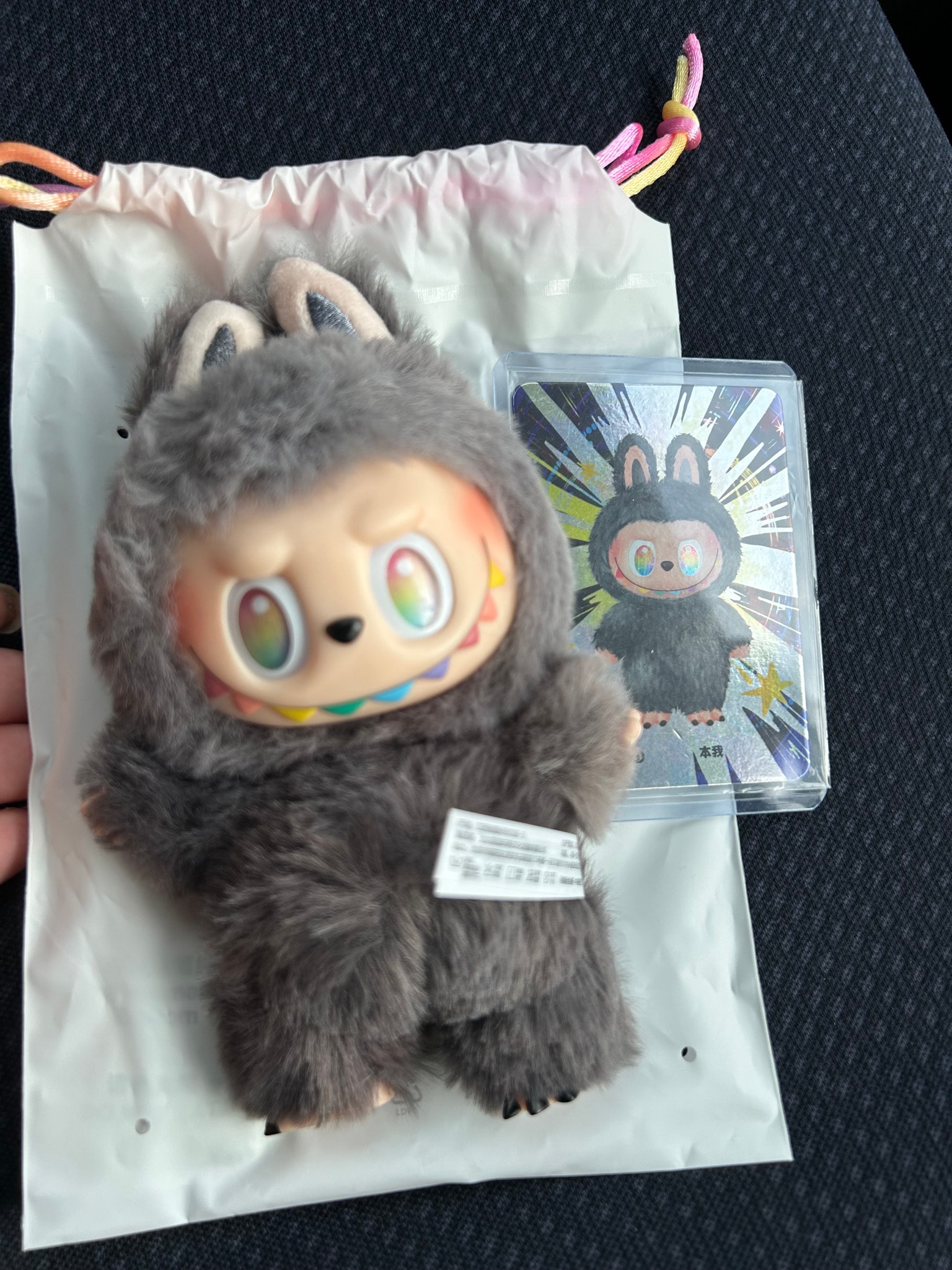 POP MART THE MONSTERS (LABUBU) Big into Energy Series Plush Pendant ID (Secret)
