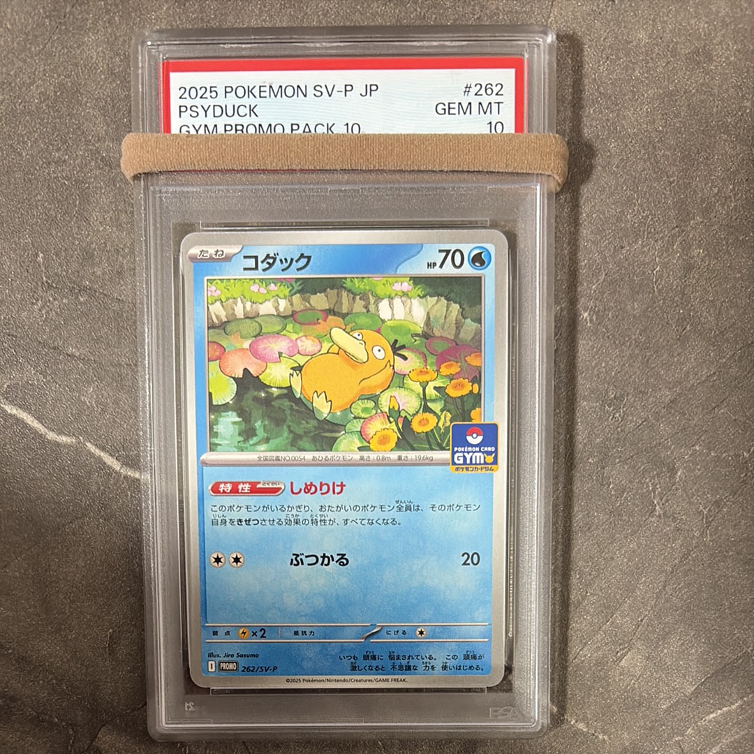 コダック P [SV-P 262](プロモカードパック「第10弾」)