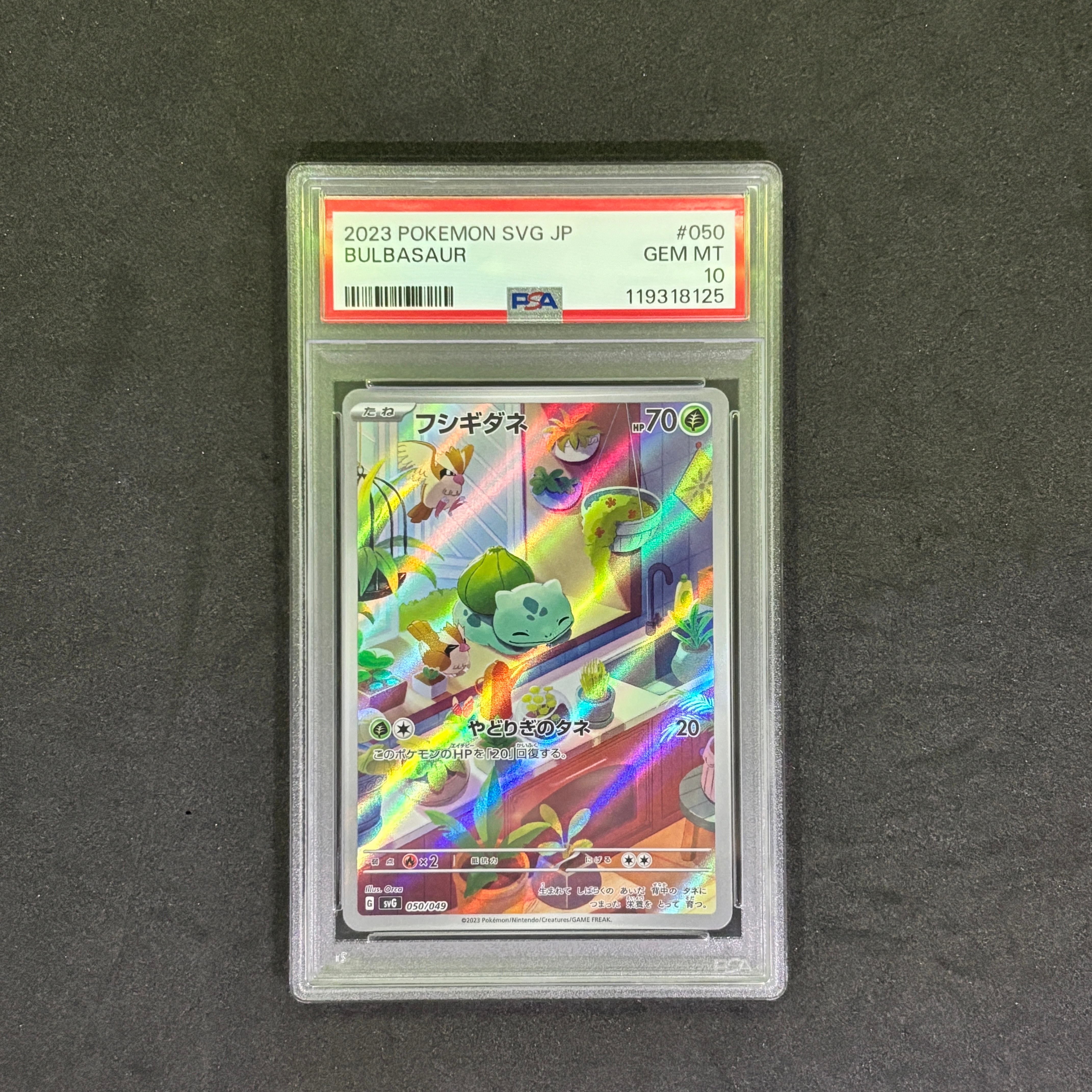 フシギダネ :フルイラスト [SVG 050/049](スペシャルデッキセットex「フシギバナ・リザードン・カメックス」)