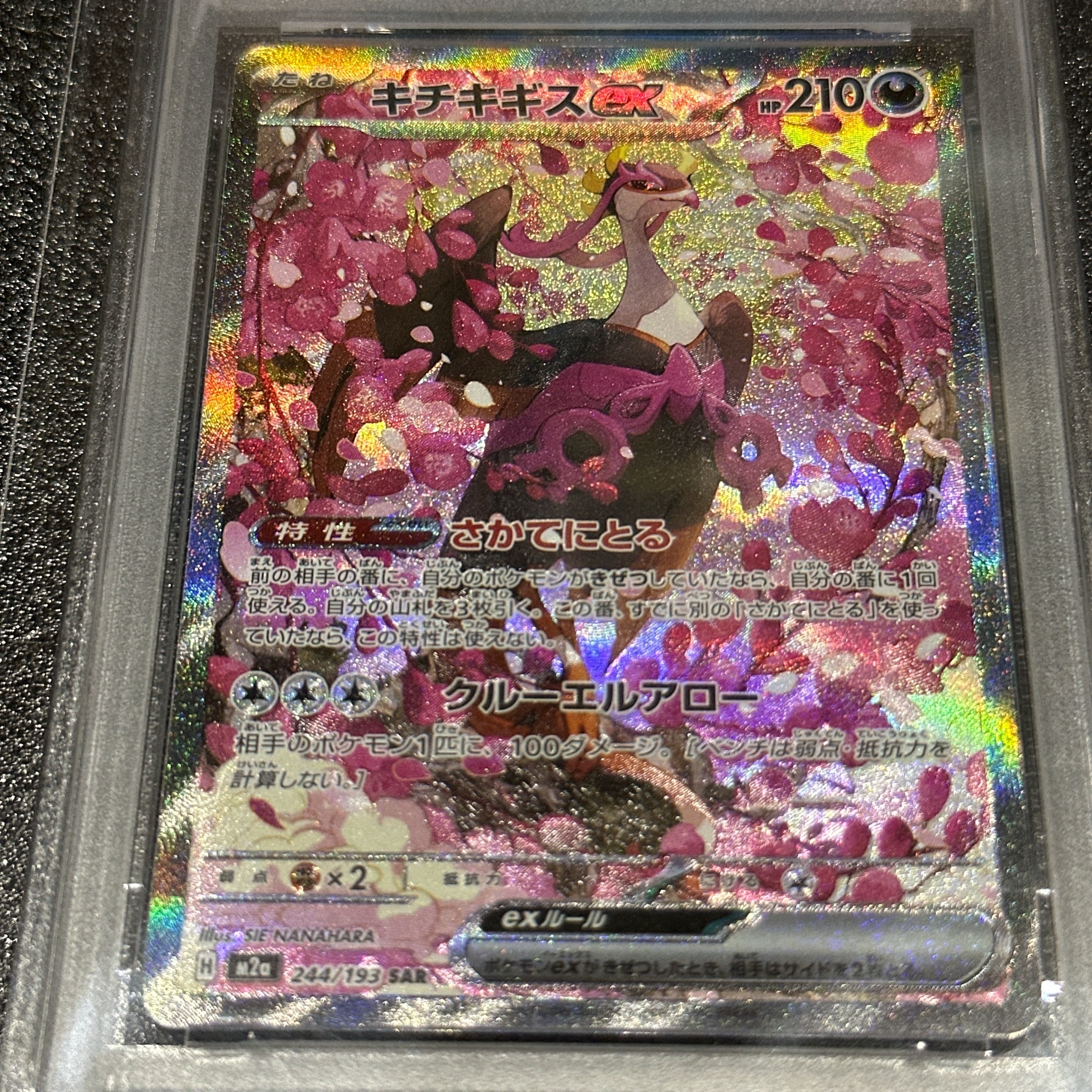 PSA10】キチキギスex SAR [M2a 244/193](ハイクラスパック「MEGA