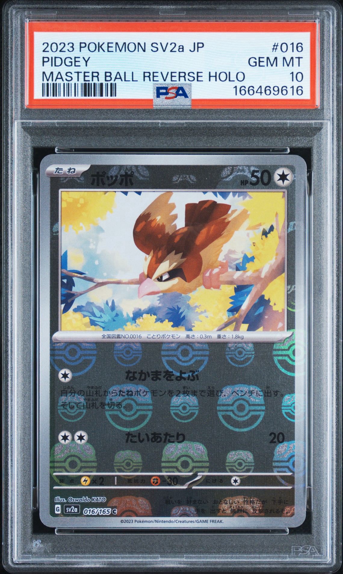 ポッポ C: マスターボールミラー[SV2a 016/165](強化拡張パック「ポケモンカード151」)
