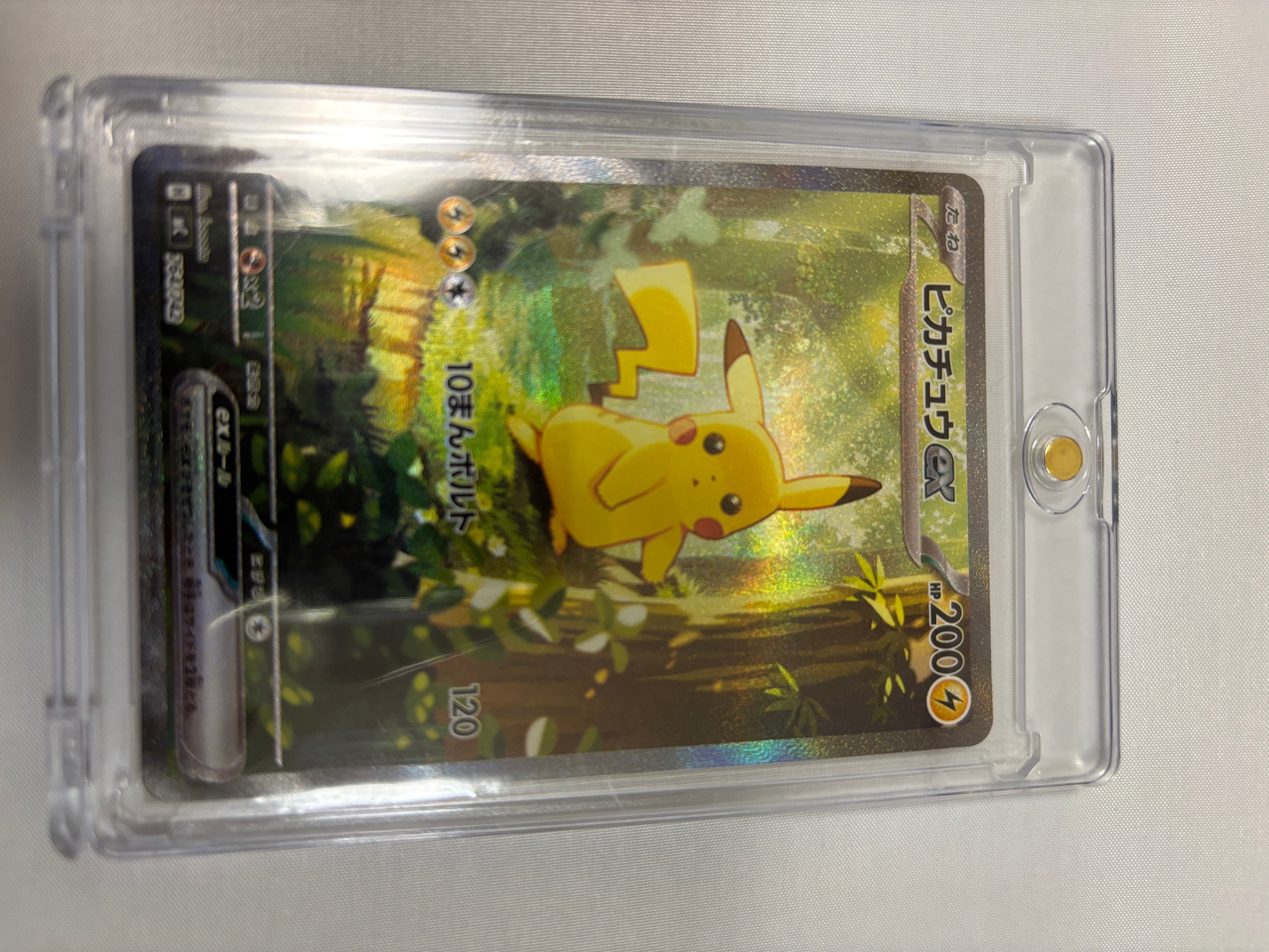 ヨコハマのピカチュウ PROMO SM-Pプロモカード 283/SM-P ヨコハマのピカチュウ: プロモ[SM-P 283](プロモーションカード「SM-P