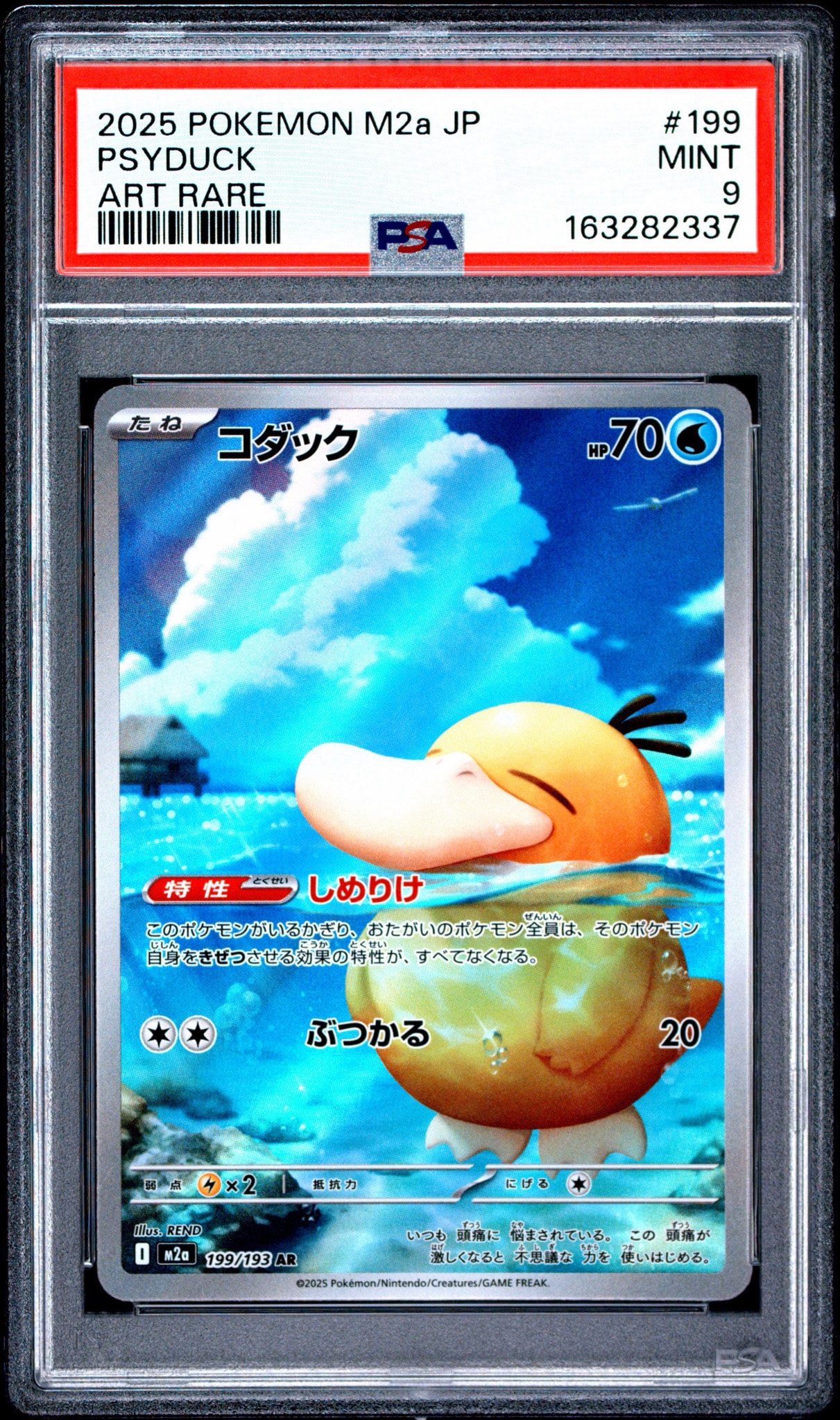 コダック AR [M2a 199/193](ハイクラスパック「MEGAドリームex」)