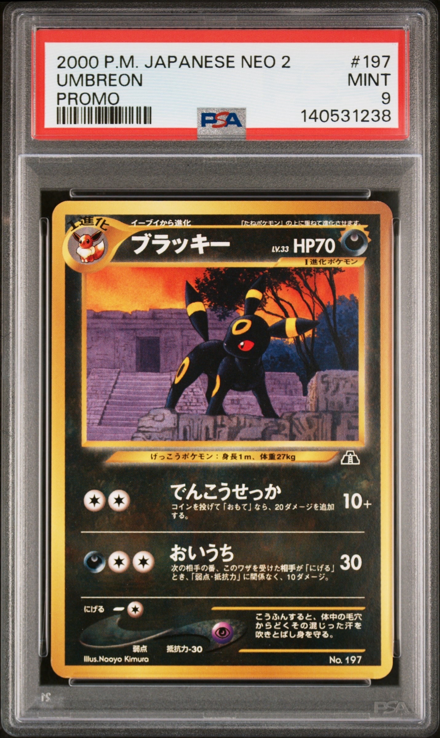 ブラッキープレミアムファイル2: 旧裏[neoP2 No.197](プレミアムファイル2)