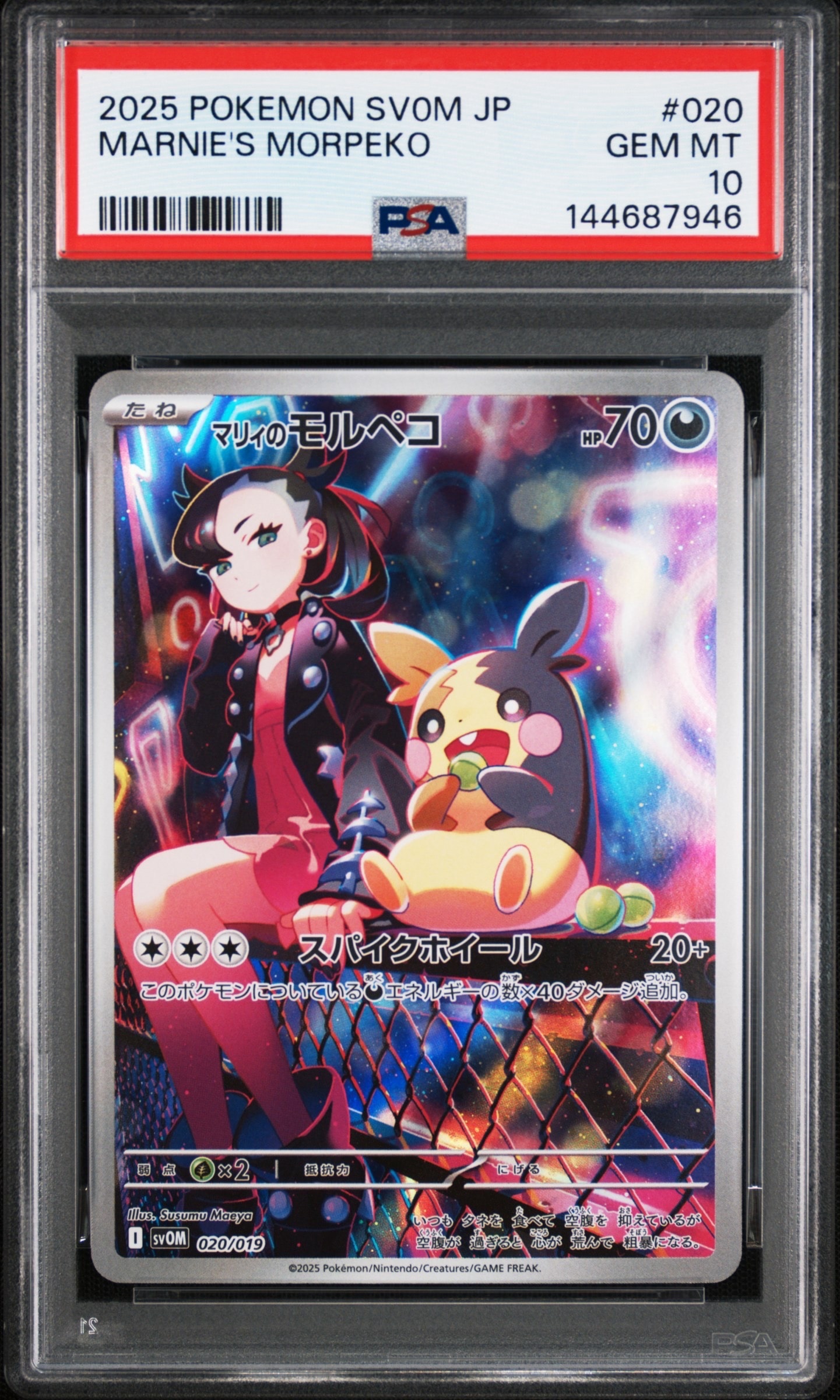 ブラッキー_プレミアムファイル2 PROMO ブラッキー_プレミアムファイル2 PROMO 第2世代（☆neo・☆VS・☆w