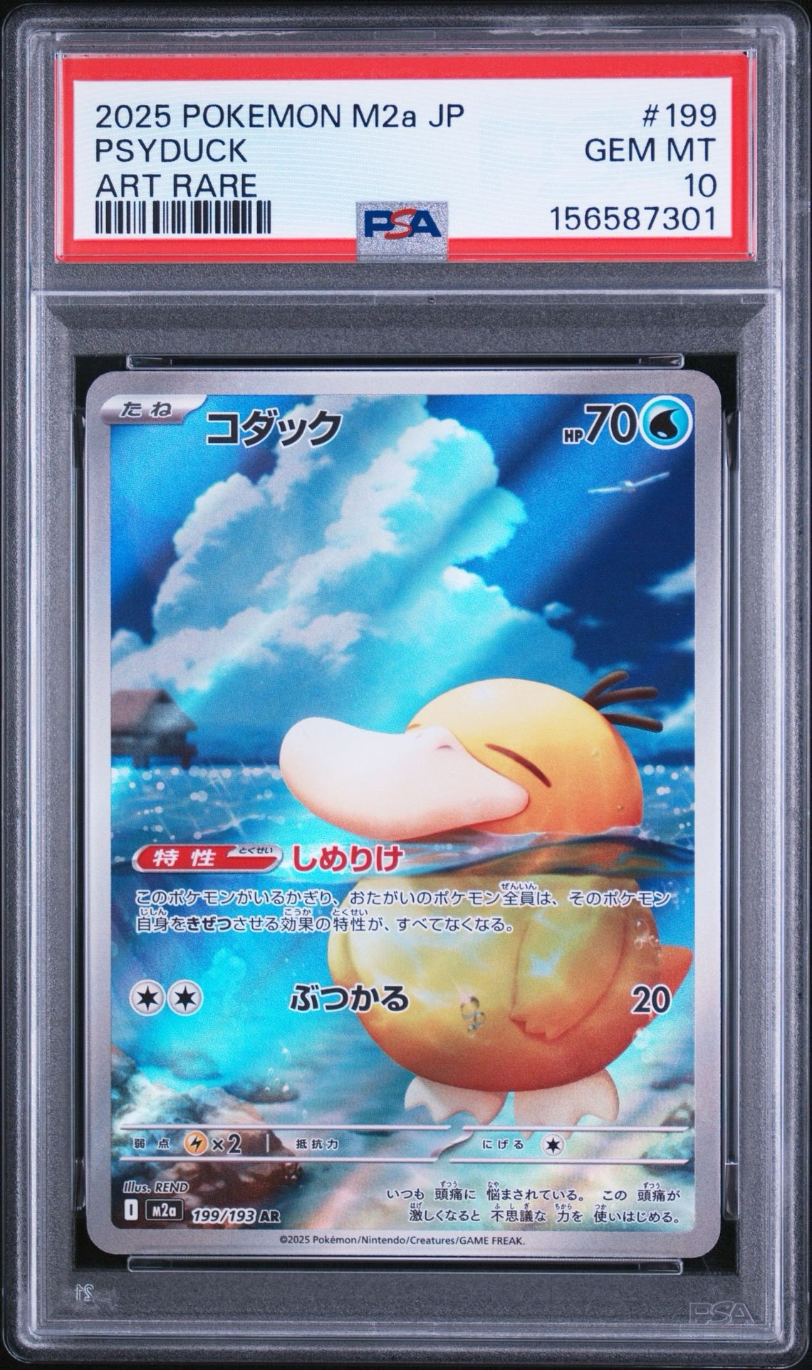 コダック AR [M2a 199/193](ハイクラスパック「MEGAドリームex」)