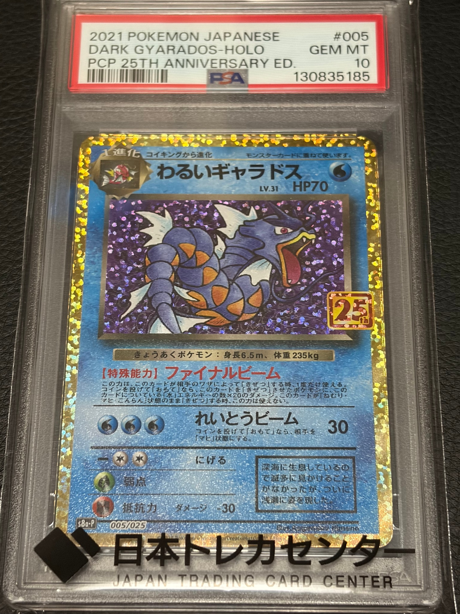 わるいギャラドス: プロモ[S8a-P 005/025](プロモカードパック 25th ANNIVERSARY edition)