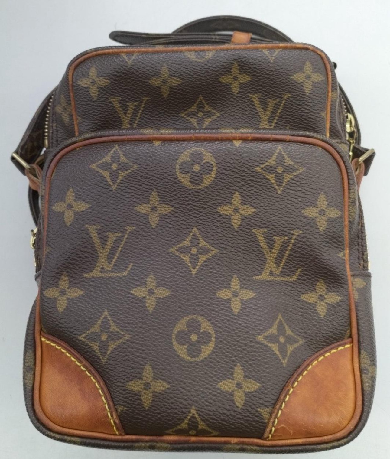 Louis Vuitton Amazon Monogram