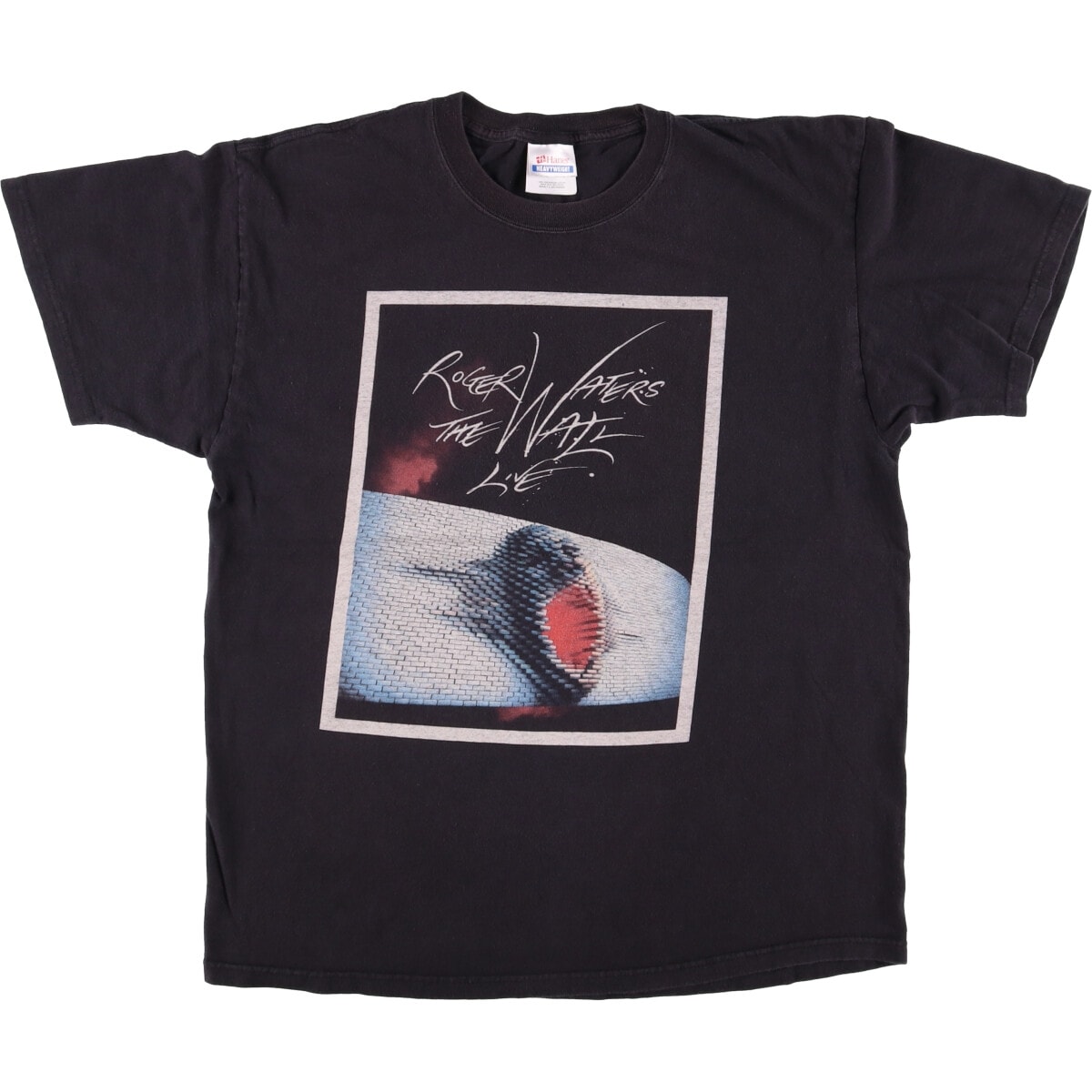 古着 ヘインズ HANES Roger Waters ロジャー ウォーターズ バンドTシャツ バンT メンズL相当/eaa555642