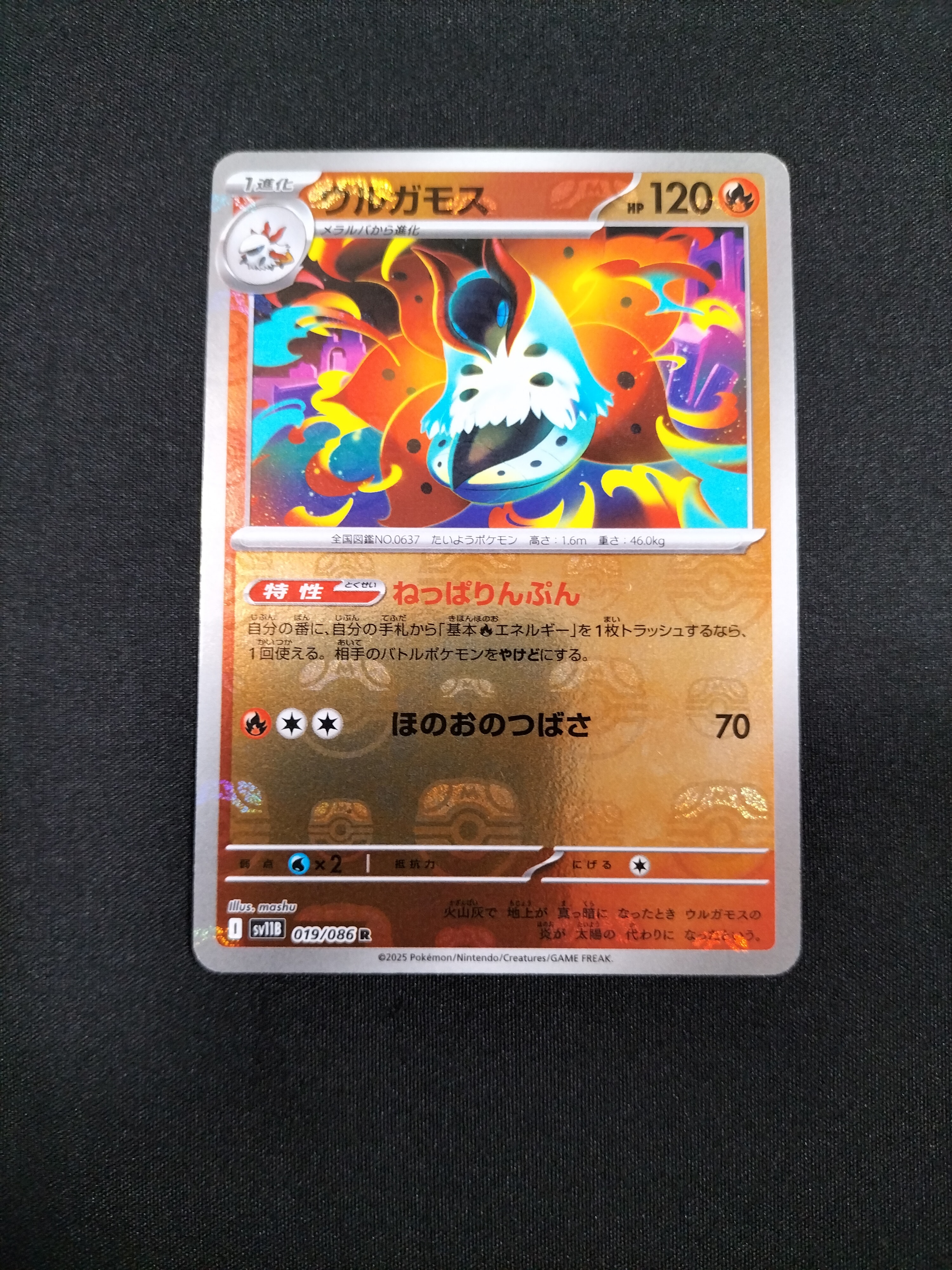 ウルガモス R :マスターボールミラー [SV11B 019/086](拡張パック「ブラックボルト」)