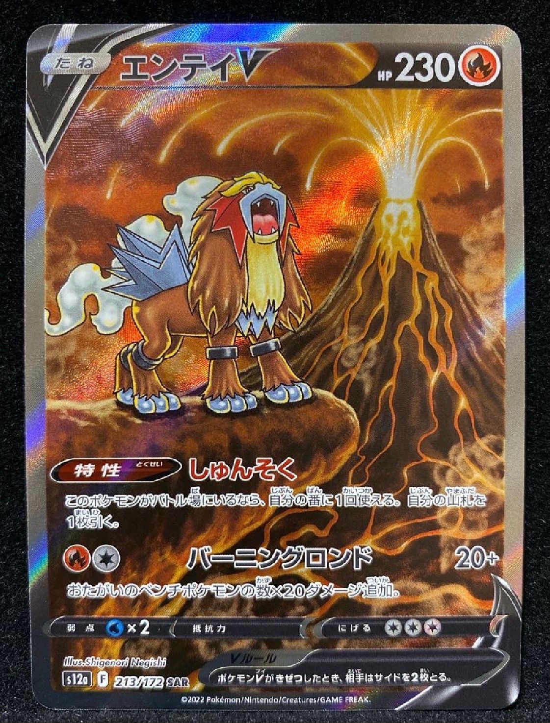 エンテイV SAR[s12a 213/172](ハイクラスパック「VSTARユニバース」)