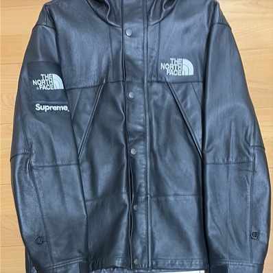 Supreme x The North Face Leather Mountain Parka "Black"