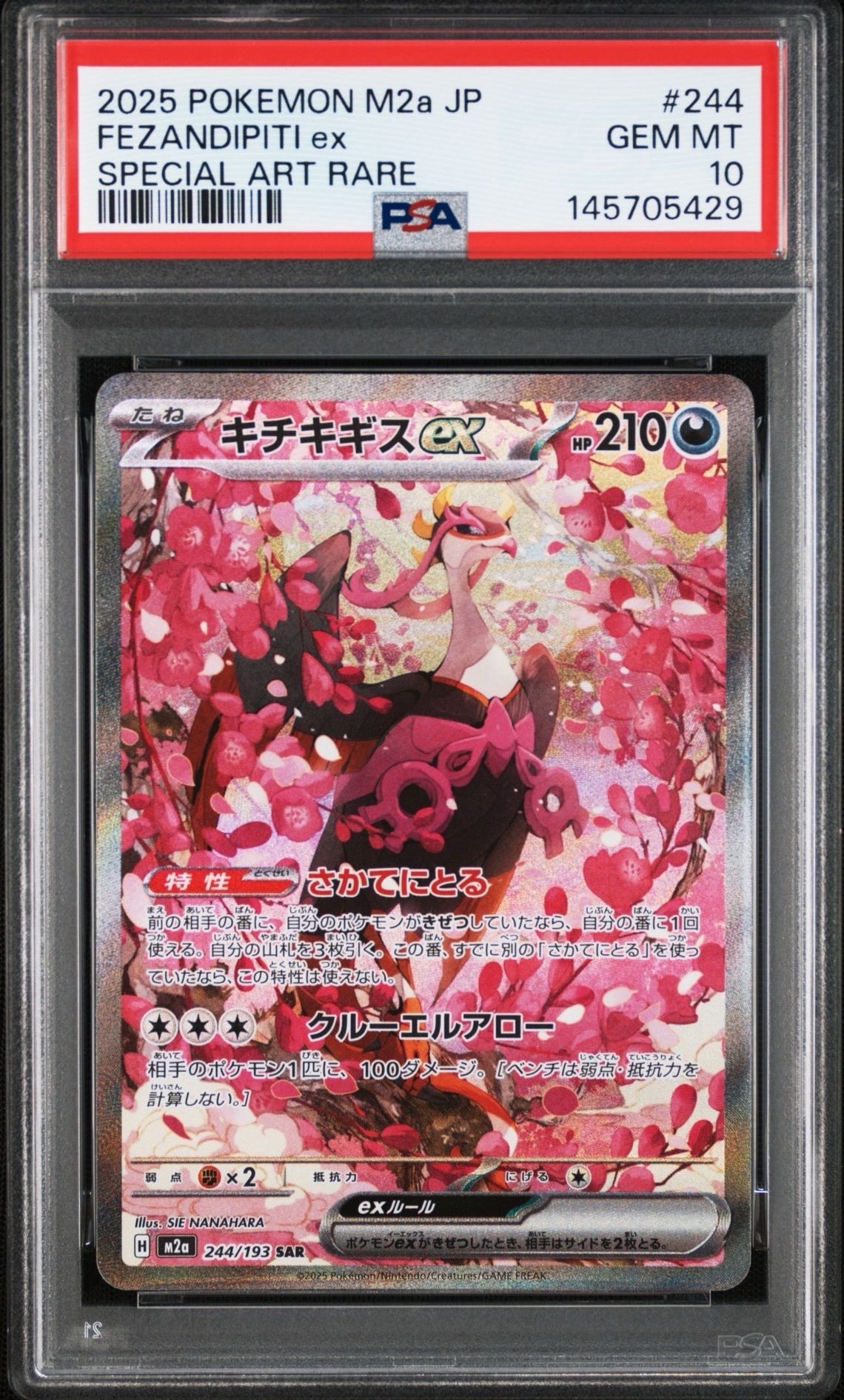 キチキギスex SAR [M2a 244/193](ハイクラスパック「MEGAドリームex