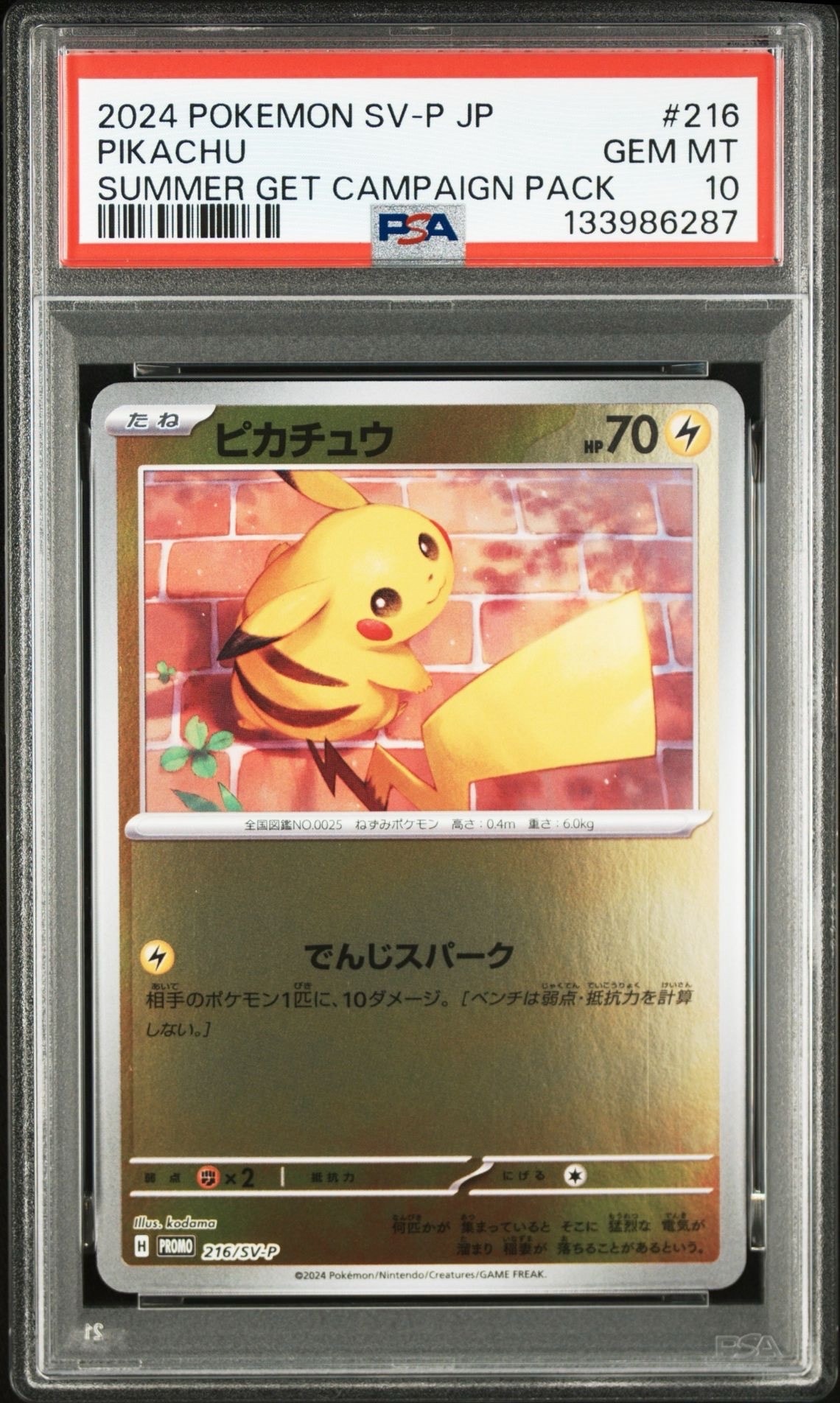 ピカチュウ P [SV-P 216](プロモカードパック「ポケカの夏がキタ!プロモカードGetキャンペーン!」)