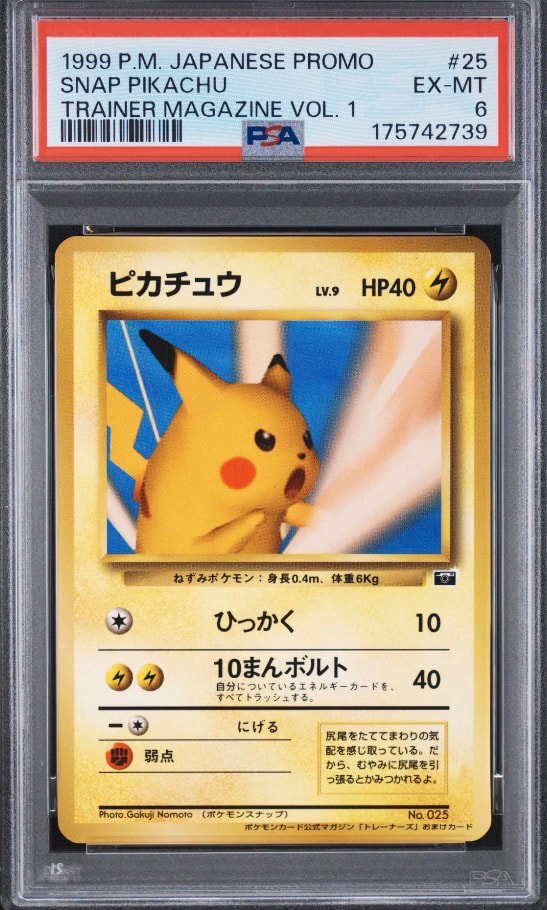 ピカチュウ P : 旧裏 [PMCG-P No.025](プロモーションカード「ポケモンカードトレーナーズVol.1」)