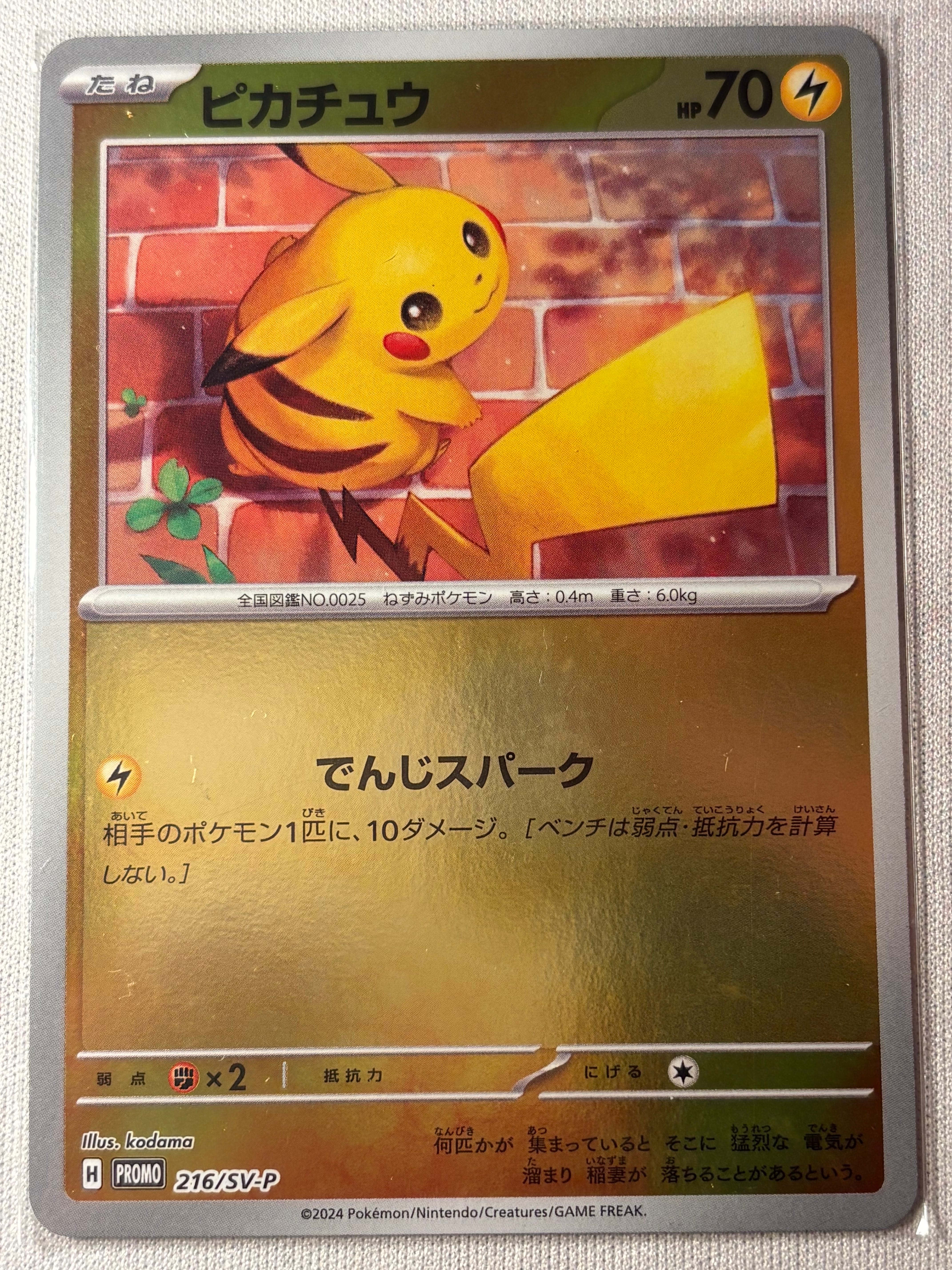 【PSA10】ピカチュウ：ポケカの夏がキタ！ プロモ カード 216/SV-P PROMO ピカチュウ ポケカの夏がキタ！PSA10