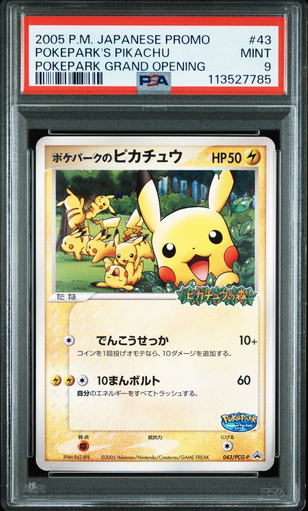 ポケパークのピカチュウ P [PCG-P 043](プロモーションカード「ポケパーク ルギアのくるくるシップ」)