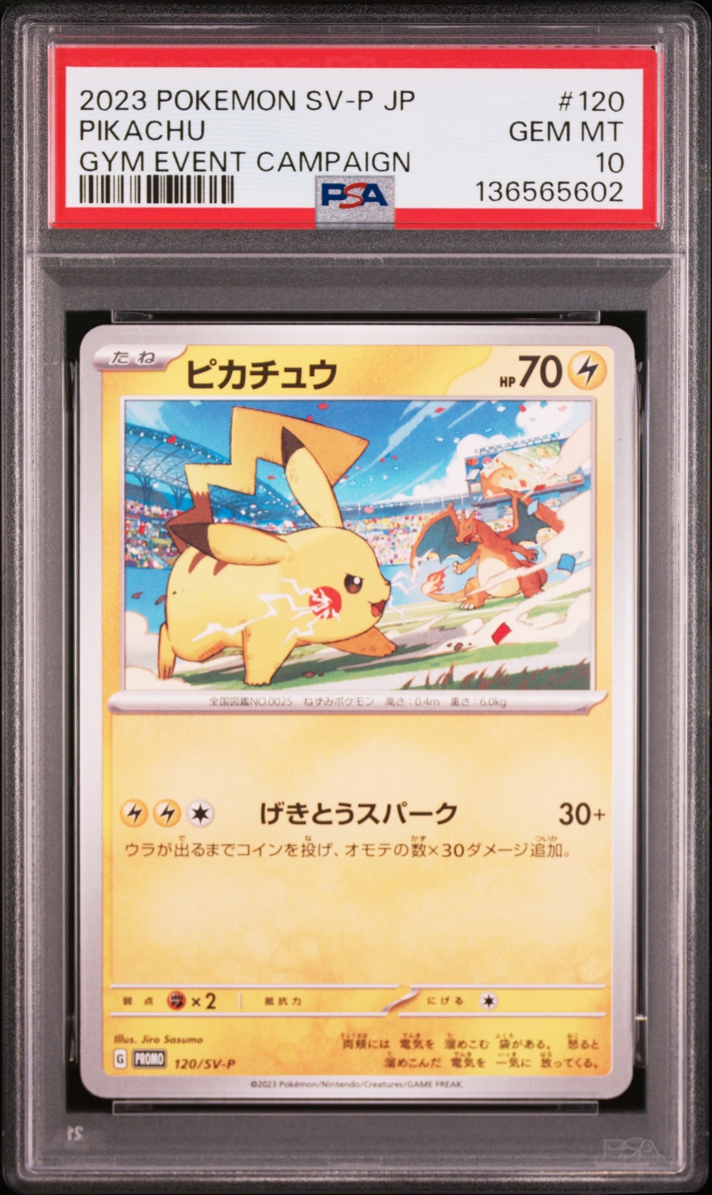 ピカチュウ: プロモ [SV-P 120](プロモーションカード「SV-P」)