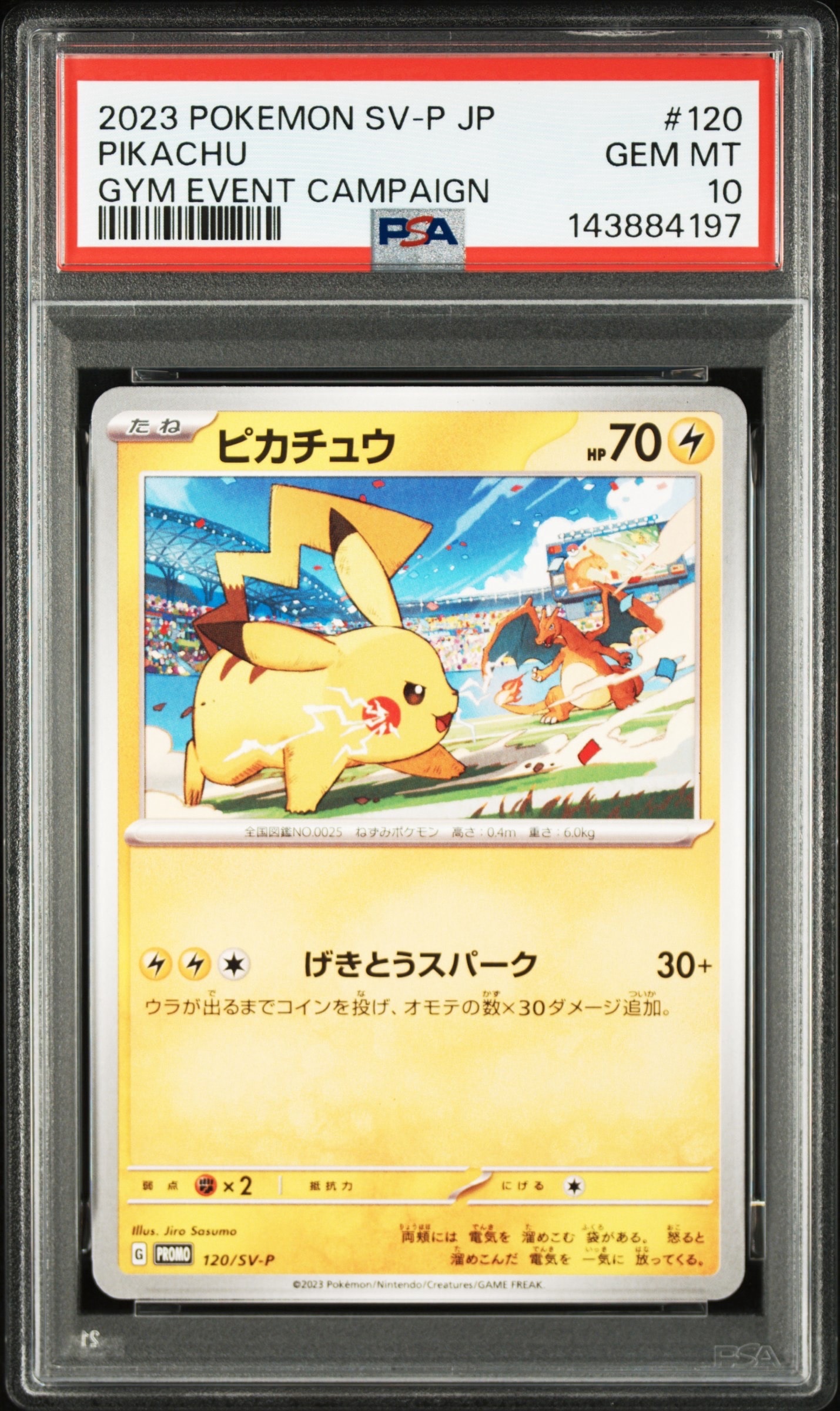 ピカチュウ: プロモ [SV-P 120](プロモーションカード「SV-P」)の新品
