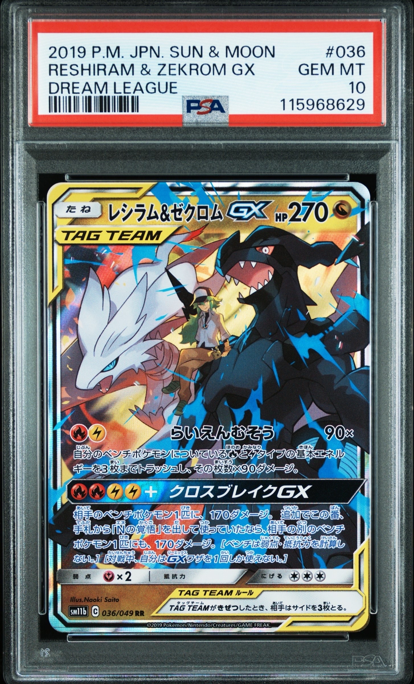 レシラム&ゼクロムGX (N) RR[SM11b 036/049](強化拡張パック「ドリームリーグ」)