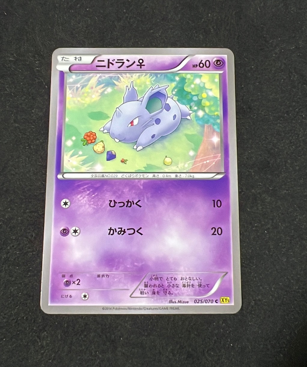 ニドラン♀ C :1ED [XY5 025/070](拡張パック「ガイアボルケーノ」)