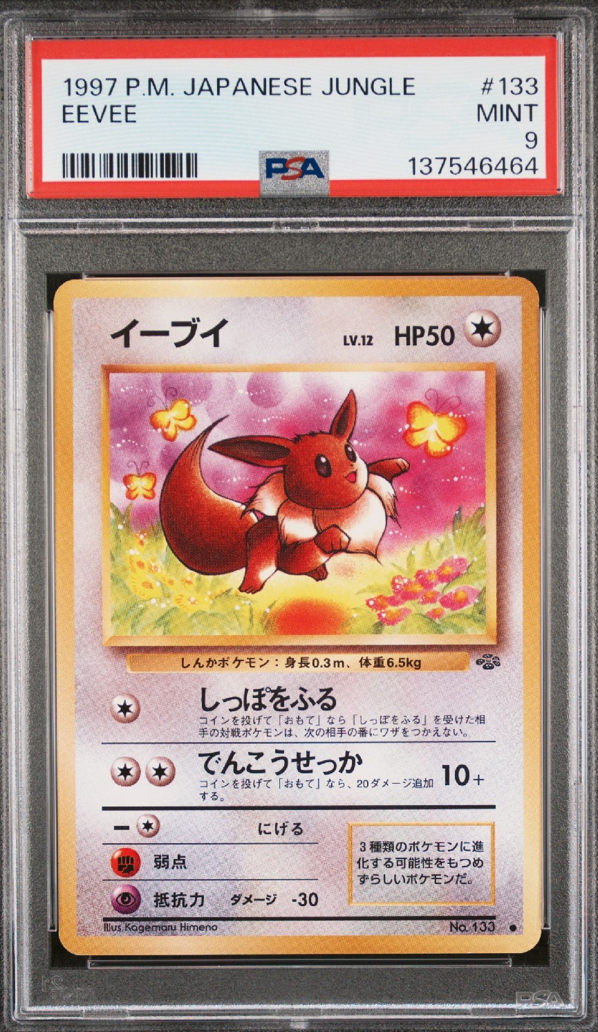 イーブイ ● : 旧裏 [PMCG2 No.133](拡張パック「ポケモンジャングル」)