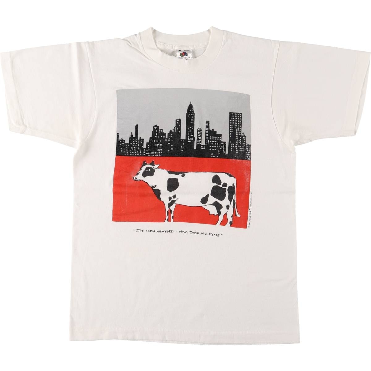 古着 90年代 フルーツオブザルーム FRUIT OF THE LOOM TAKE ME HOME アートTシャツ USA製 メンズM相当 ヴィンテージ/eaa562811