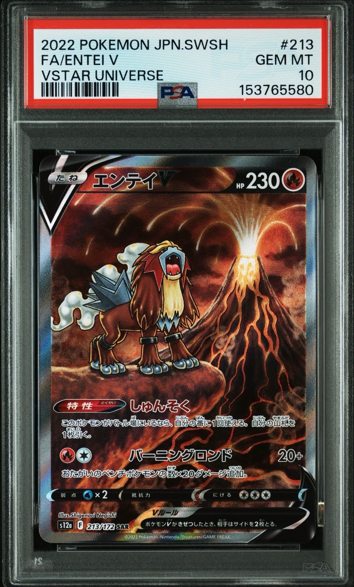 PSA10】エンテイV SAR[s12a 213/172](ハイクラスパック「VSTAR