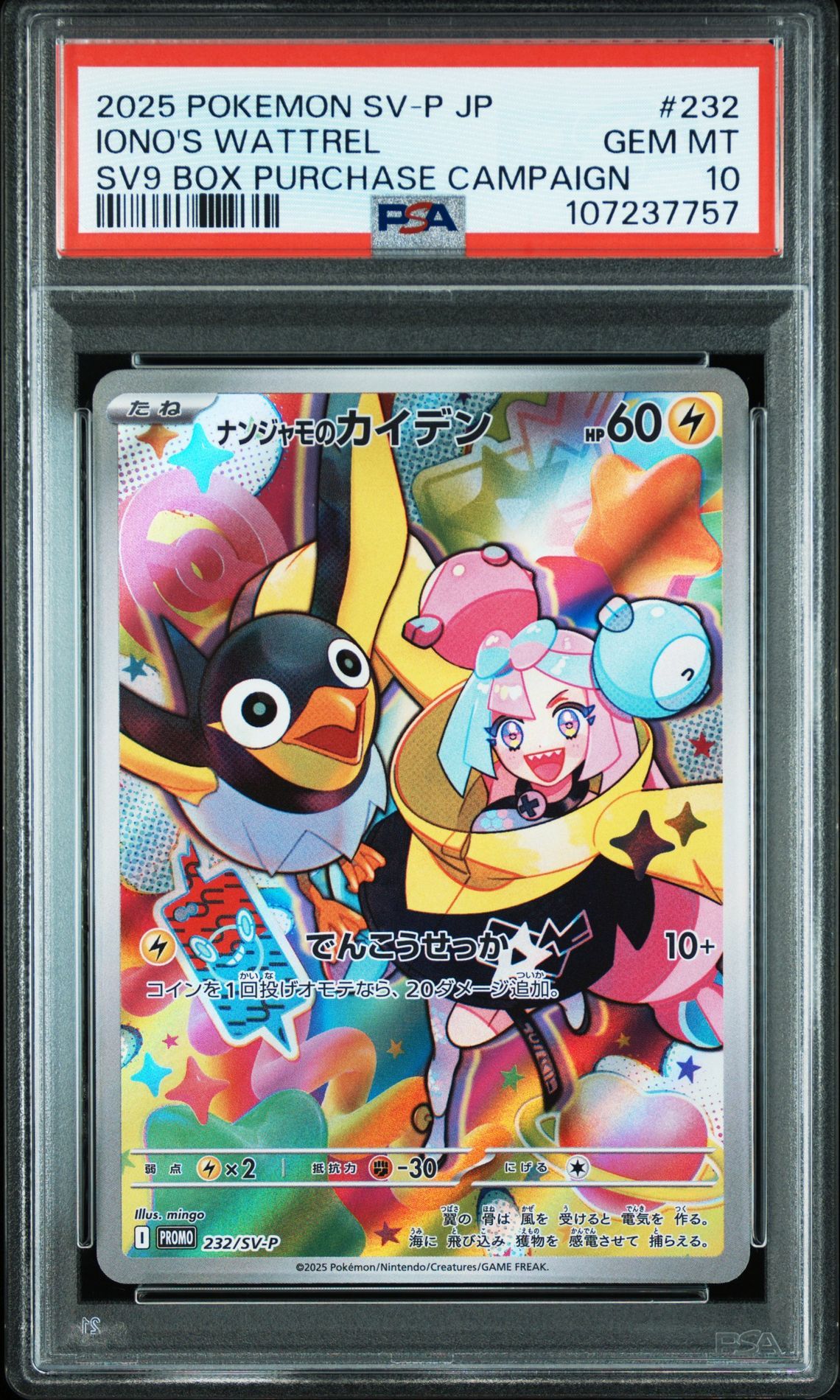 ナンジャモのカイデン P [SV-P 232](プロモーションカード「拡張パック バトルパートナーズ Box購入キャンペーン」)