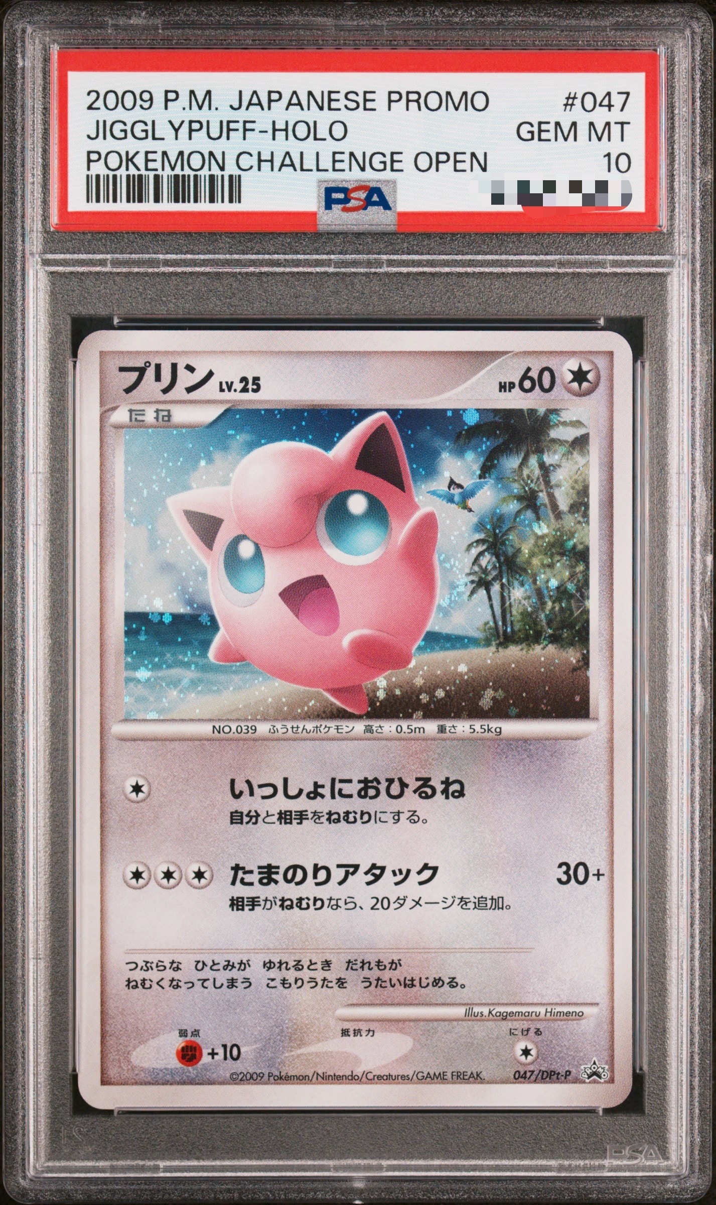 プリン プロモ 047⁄DPt-P ポケモンチャレンジひろば 6653 ポケモン