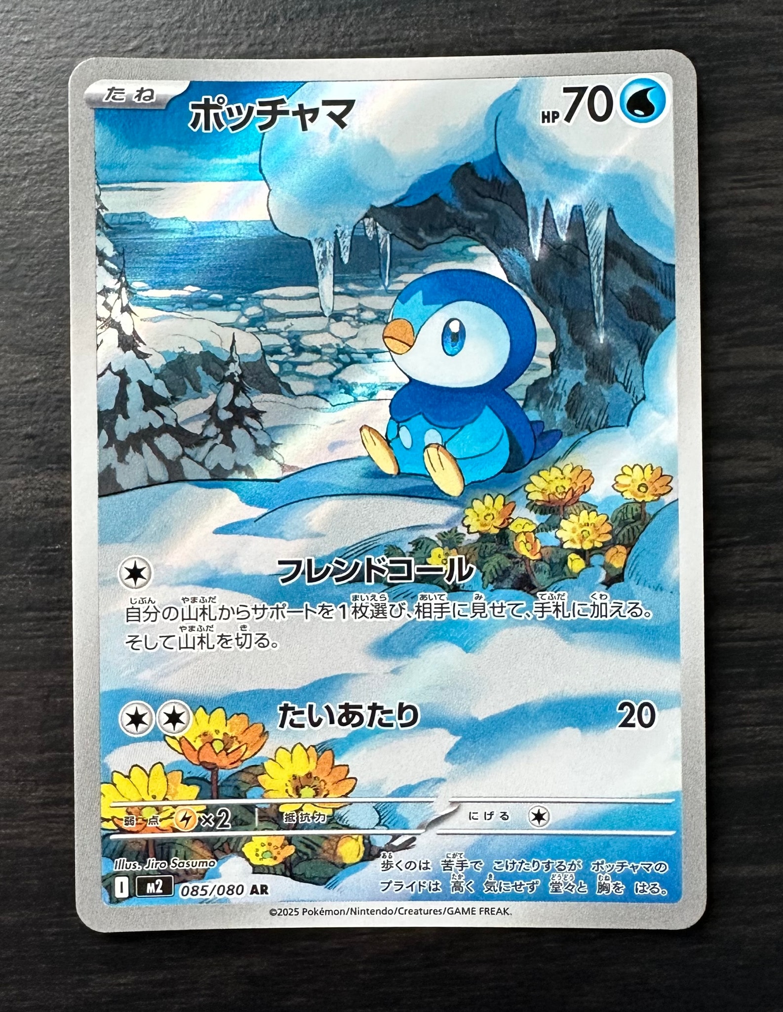 PSA10】ポッチャマ AR [M2 085/080](拡張パック「インフェルノX」) 1枚