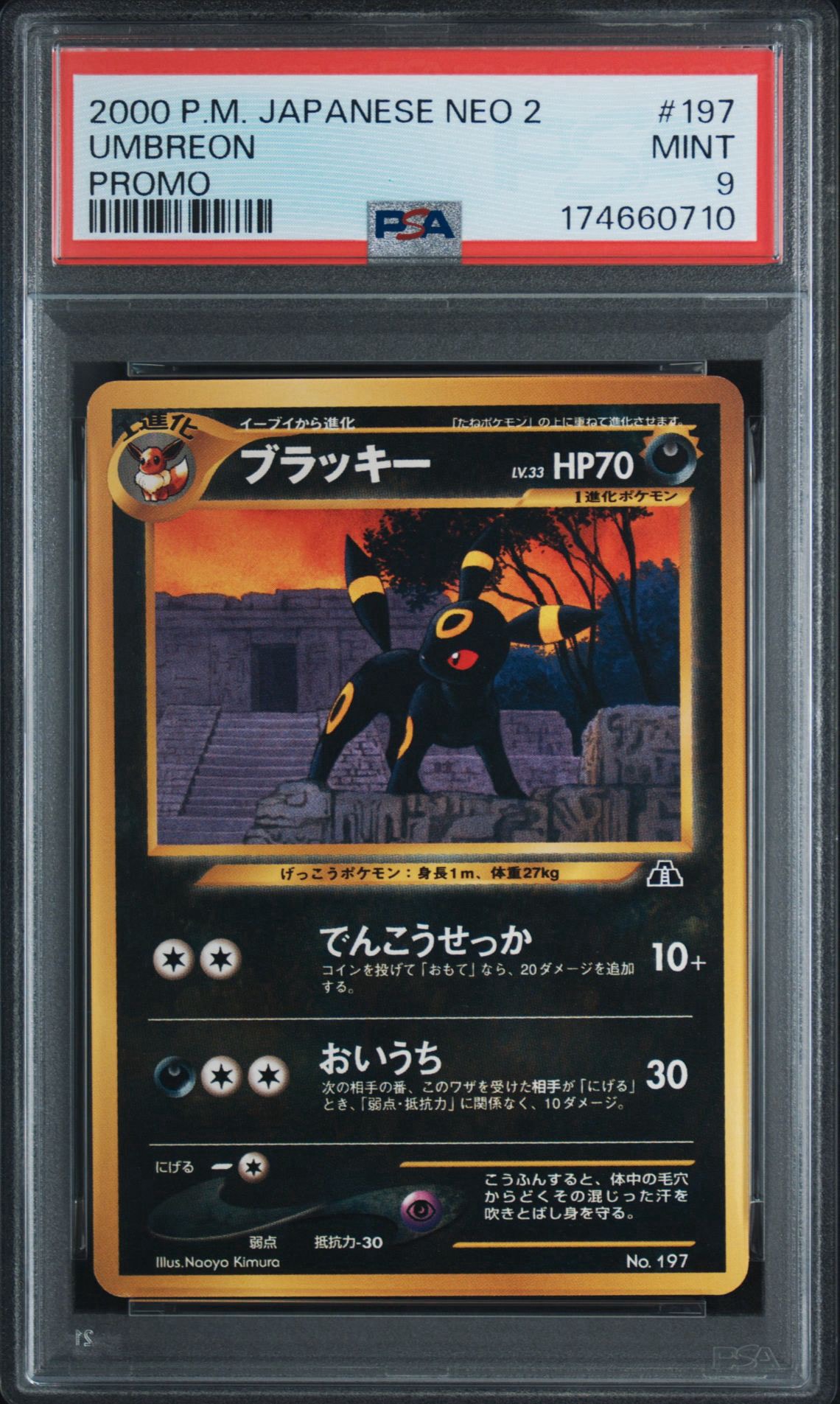 ポケモンカード ブラッキー 旧裏 neo プレミアムファイル2 No197 ブラッキープレミアムファイル2: 旧裏[neoP2 No.197](プレミアム