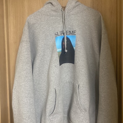 Supreme Sith Hooded Sweatshirt "Heather Grey"